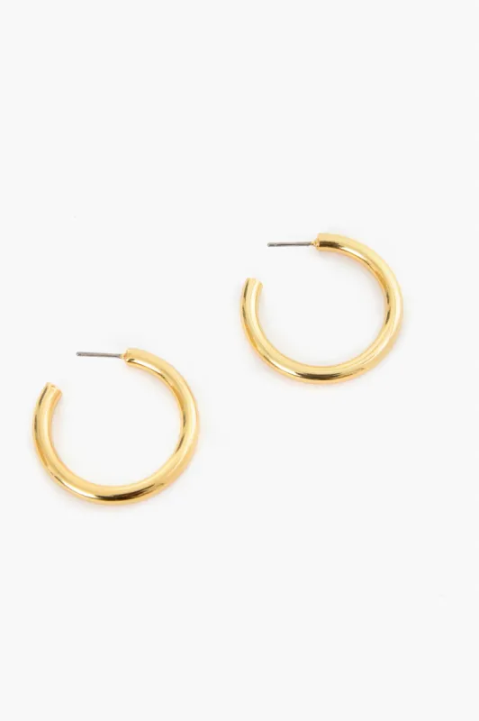 Gold Thick Hoop Earrings sold by Tuckernuck