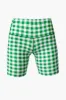 Green Trellis Gingham 6 Inch Ava Bike Short sold by Tuckernuck