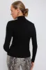 Black Lightweight Ribbed Turtleneck sold by Tuckernuck