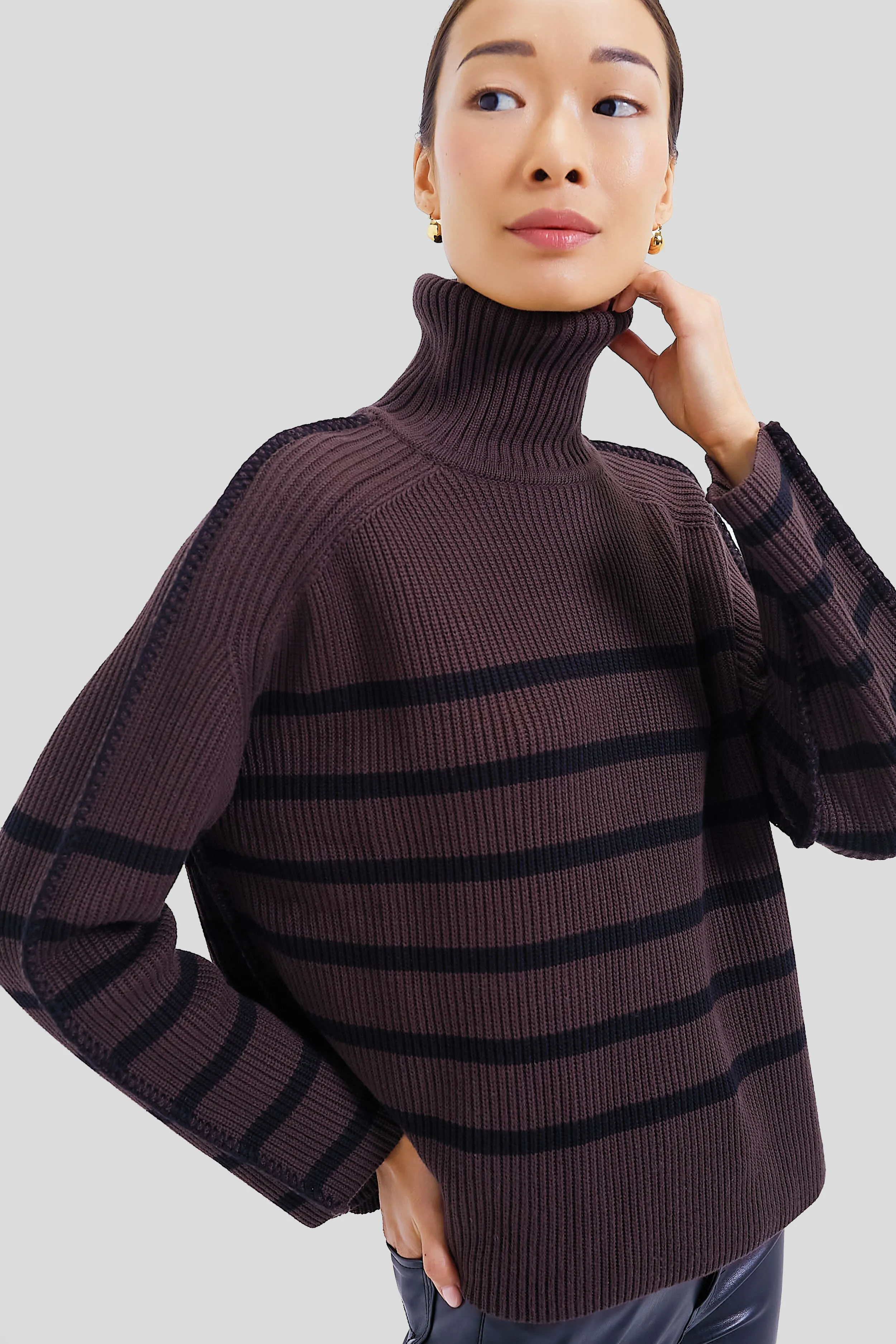 Chocolate & Black Striped Emsley Turtleneck sold by Tuckernuck product image thumbnail 3