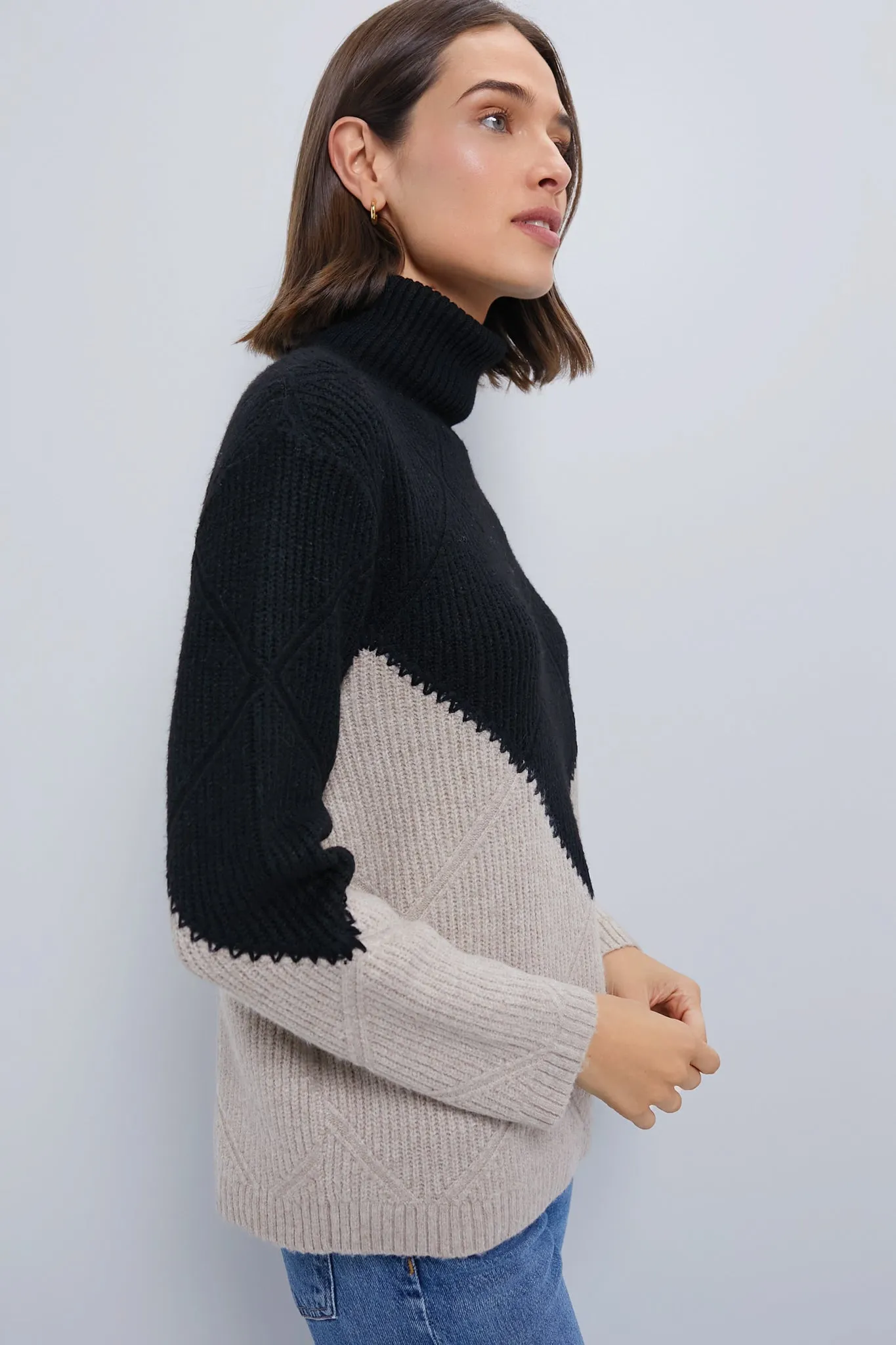 Black & Tan Diamond Demi Turtleneck sold by Tuckernuck product image thumbnail 3