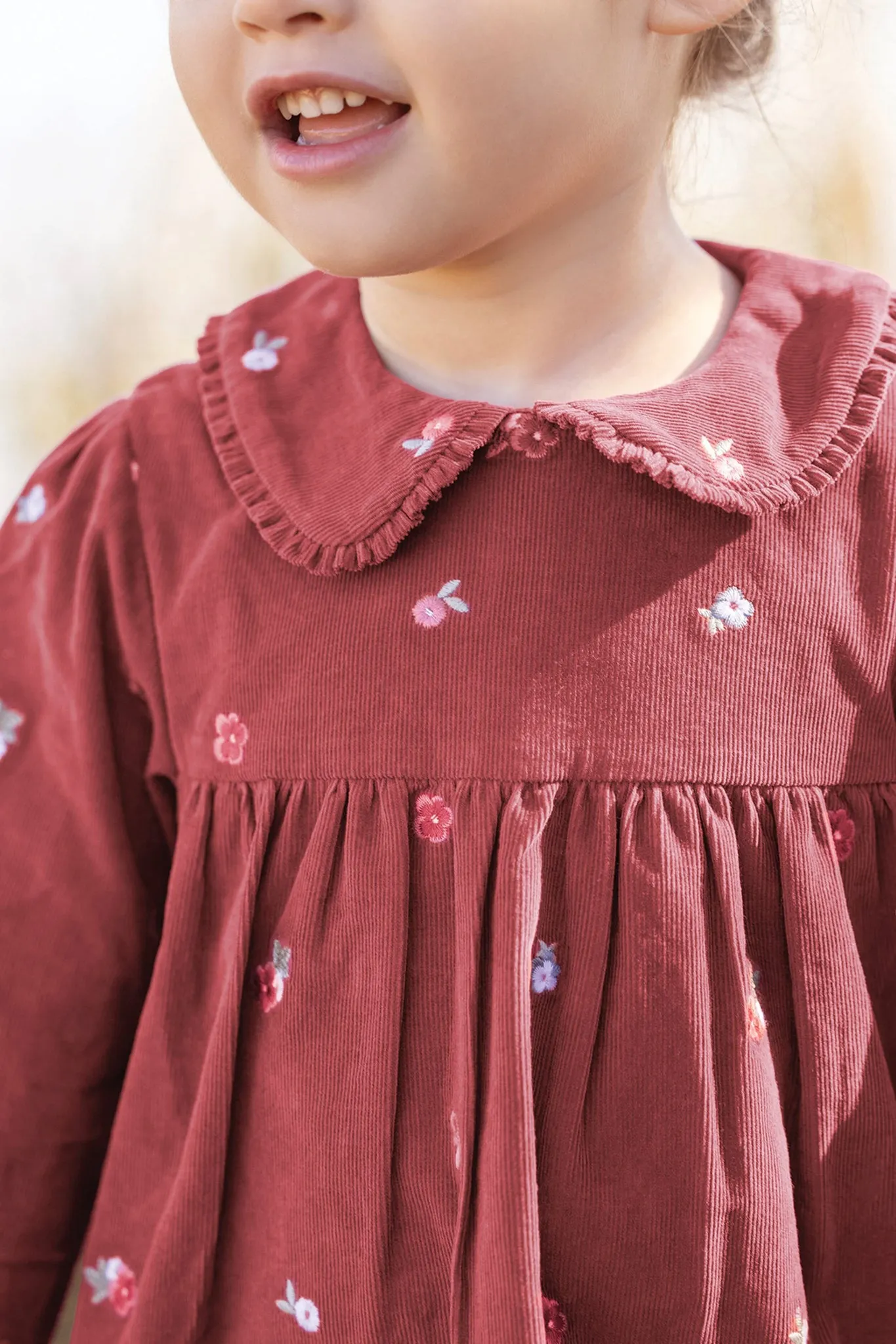 Pink Velvet Peter Pan Collar Dress sold by Tuckernuck product image thumbnail 3
