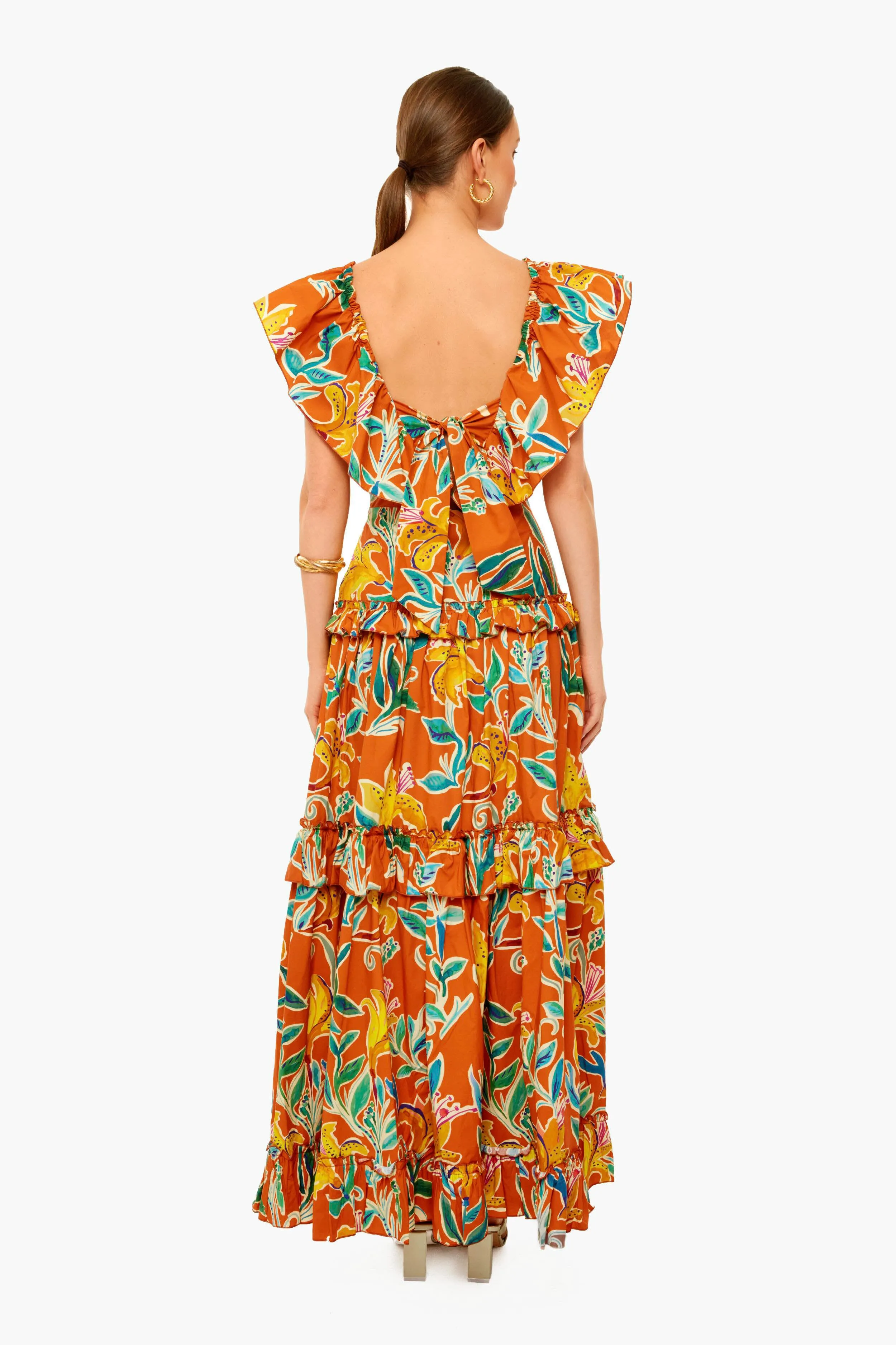 Lily Scarlett Dress sold by Tuckernuck product image thumbnail 4