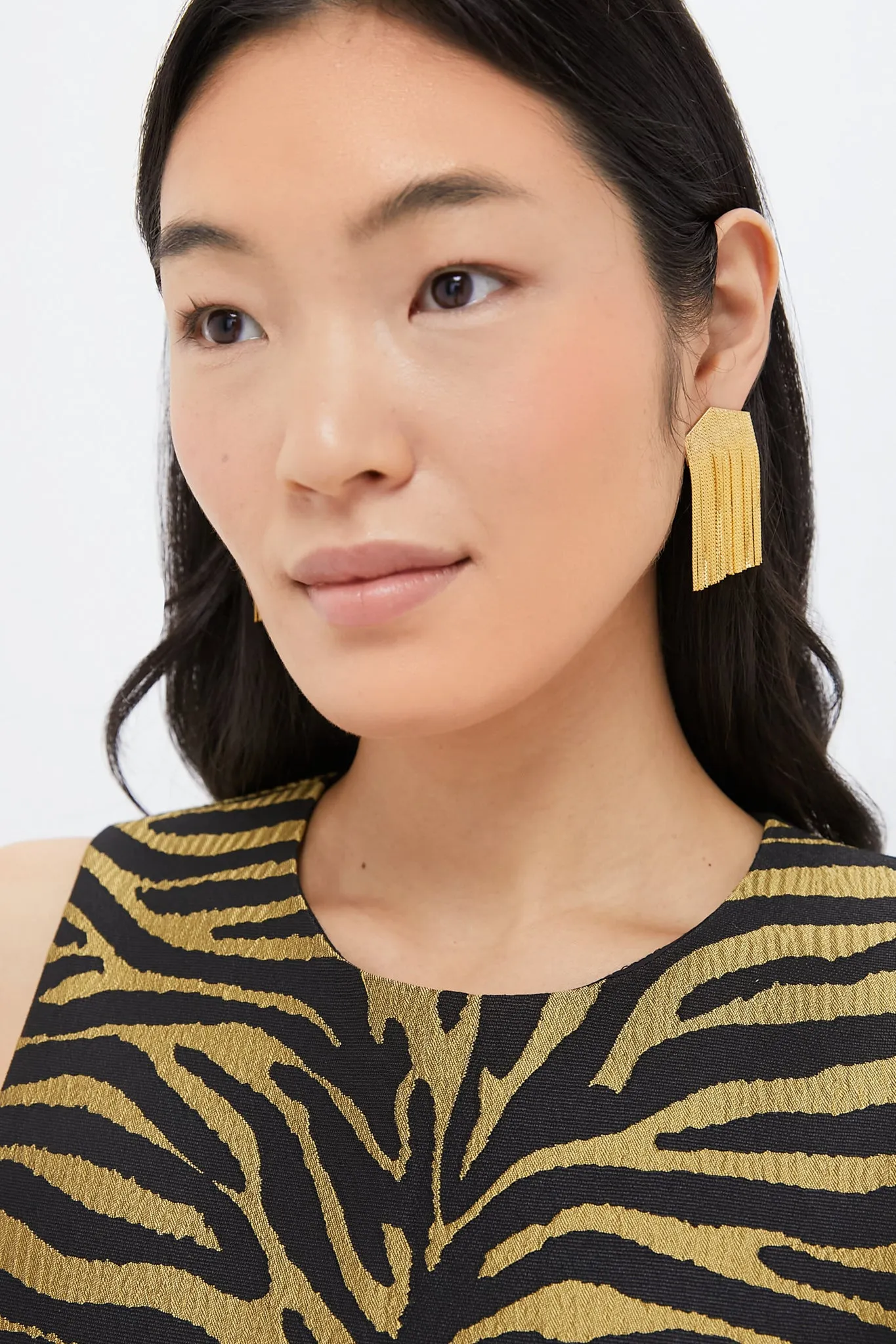 Tiger Jacquard Marlowe Dress sold by Tuckernuck product image thumbnail 5