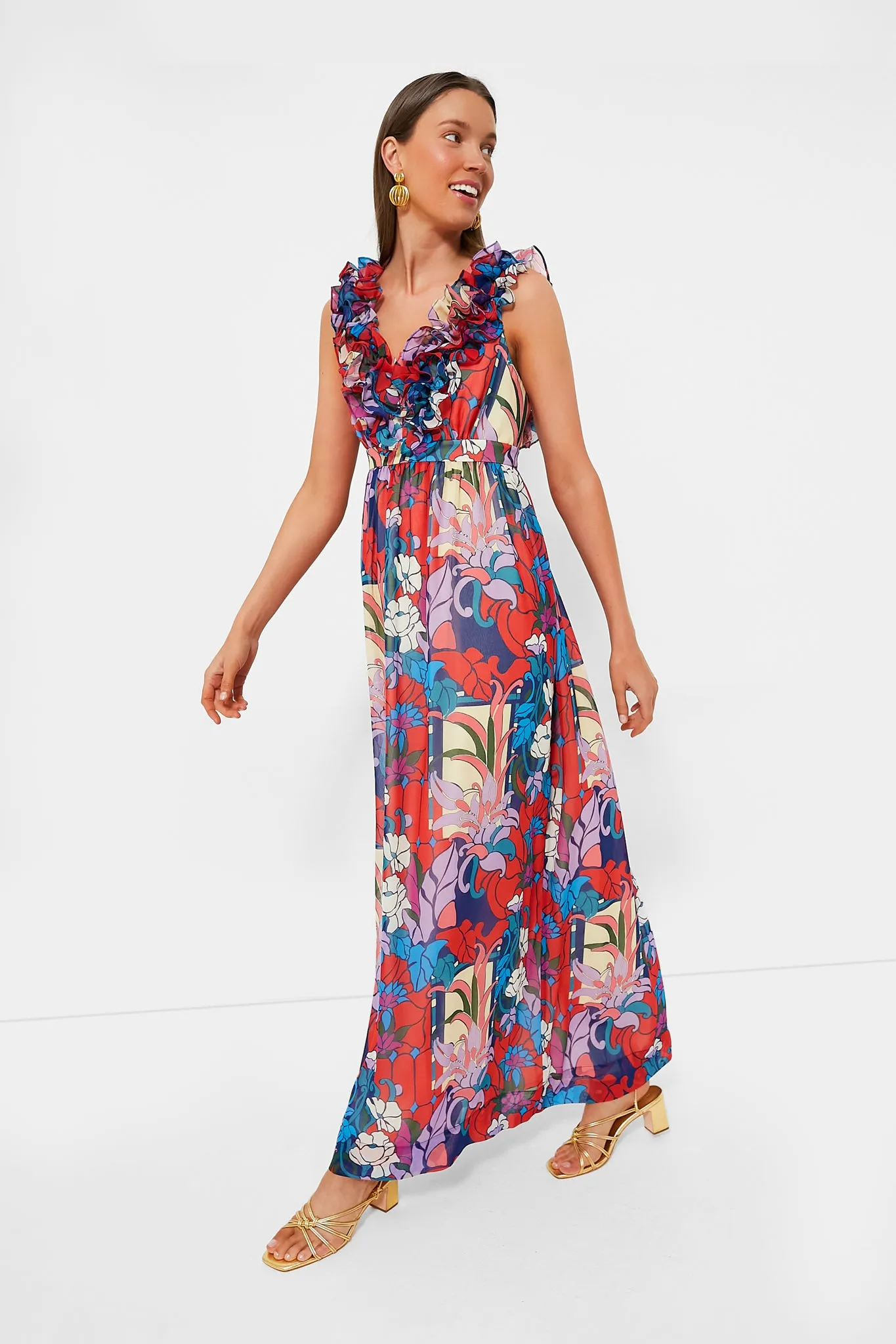 Climbing Cosmos Priscilla Dress sold by Tuckernuck product image thumbnail 3
