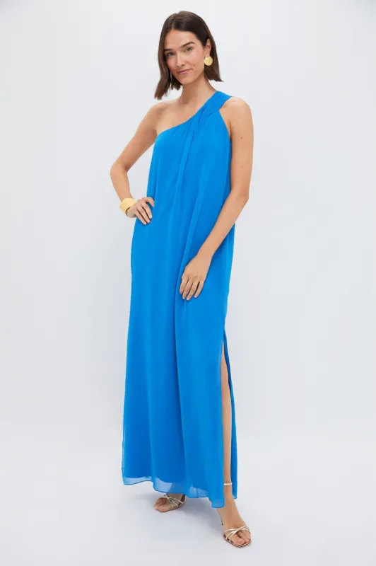 Baleine Blue Soleil Gown made by Tuckernuck