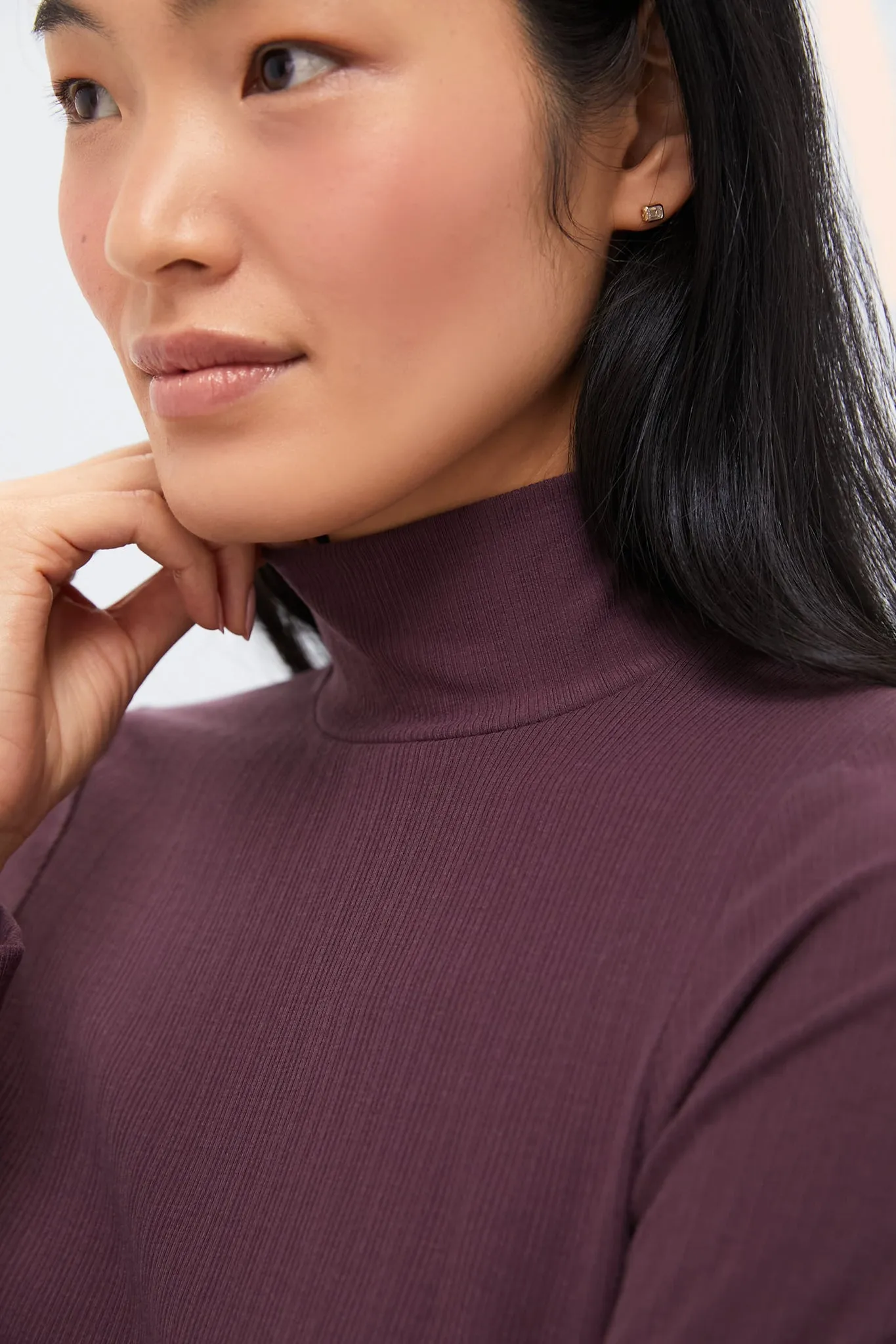 Huckleberry Astrid Fitted Longsleeve Turtleneck Tee sold by Tuckernuck product image thumbnail 5