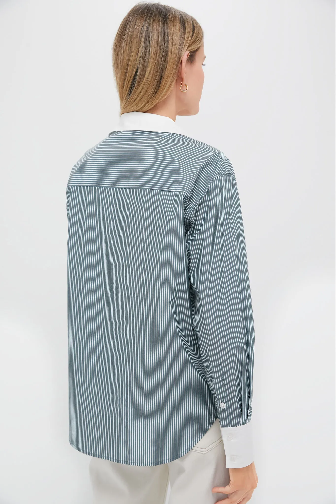Green Stripe Nadine Boyfriend Button Down sold by Tuckernuck product image thumbnail 4