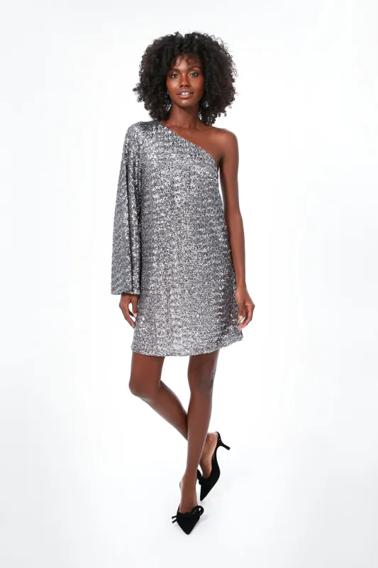 Pewter Vida Sequin Mini Dress sold by Tuckernuck