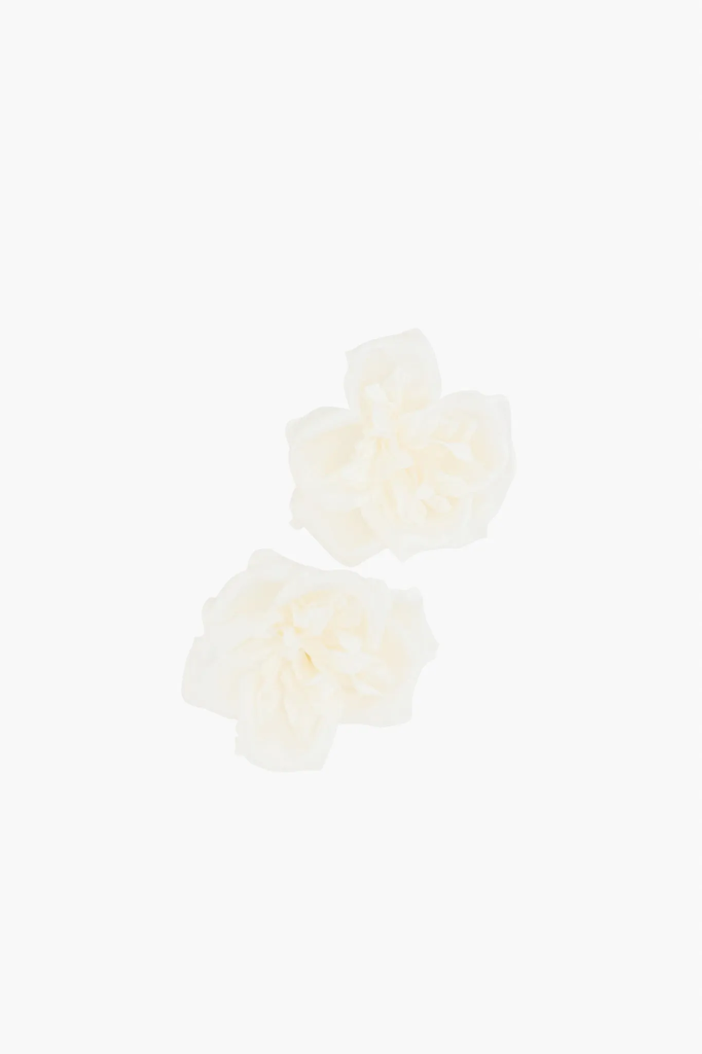 Gardenia Earrings sold by Tuckernuck product image thumbnail 2