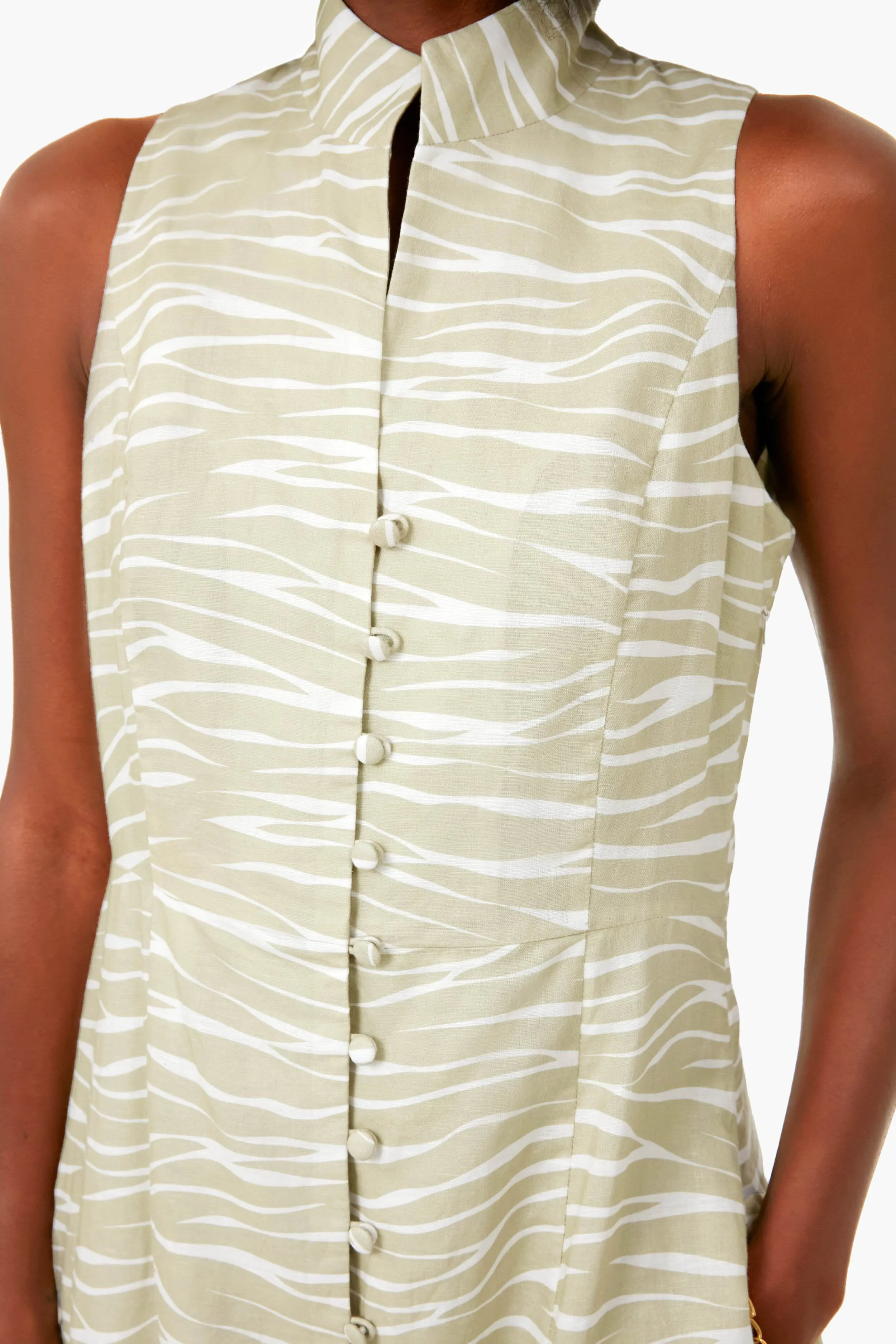 Platinum Zebra Leighton Dress sold by Tuckernuck product image thumbnail 5