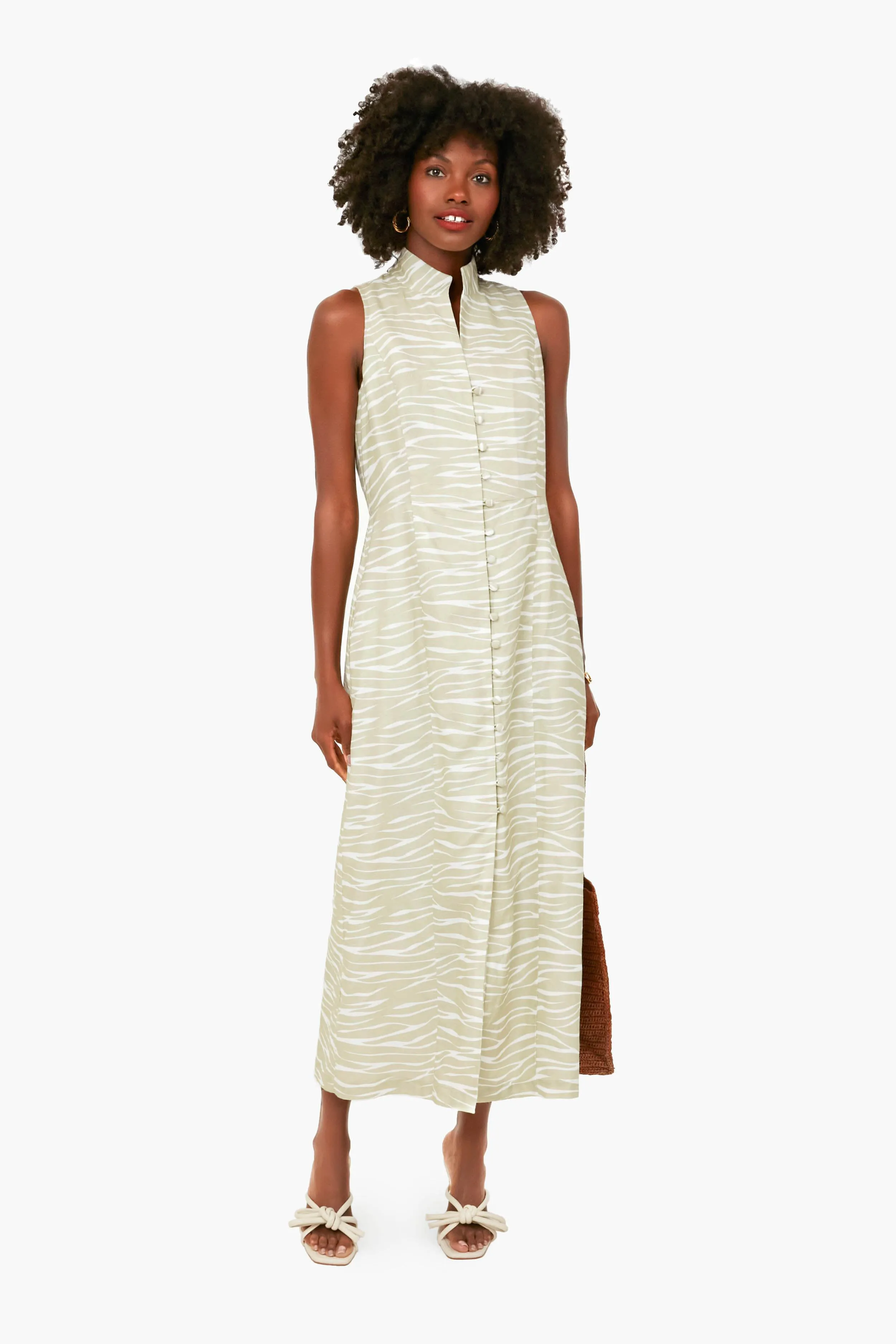 Platinum Zebra Leighton Dress sold by Tuckernuck product image thumbnail 2