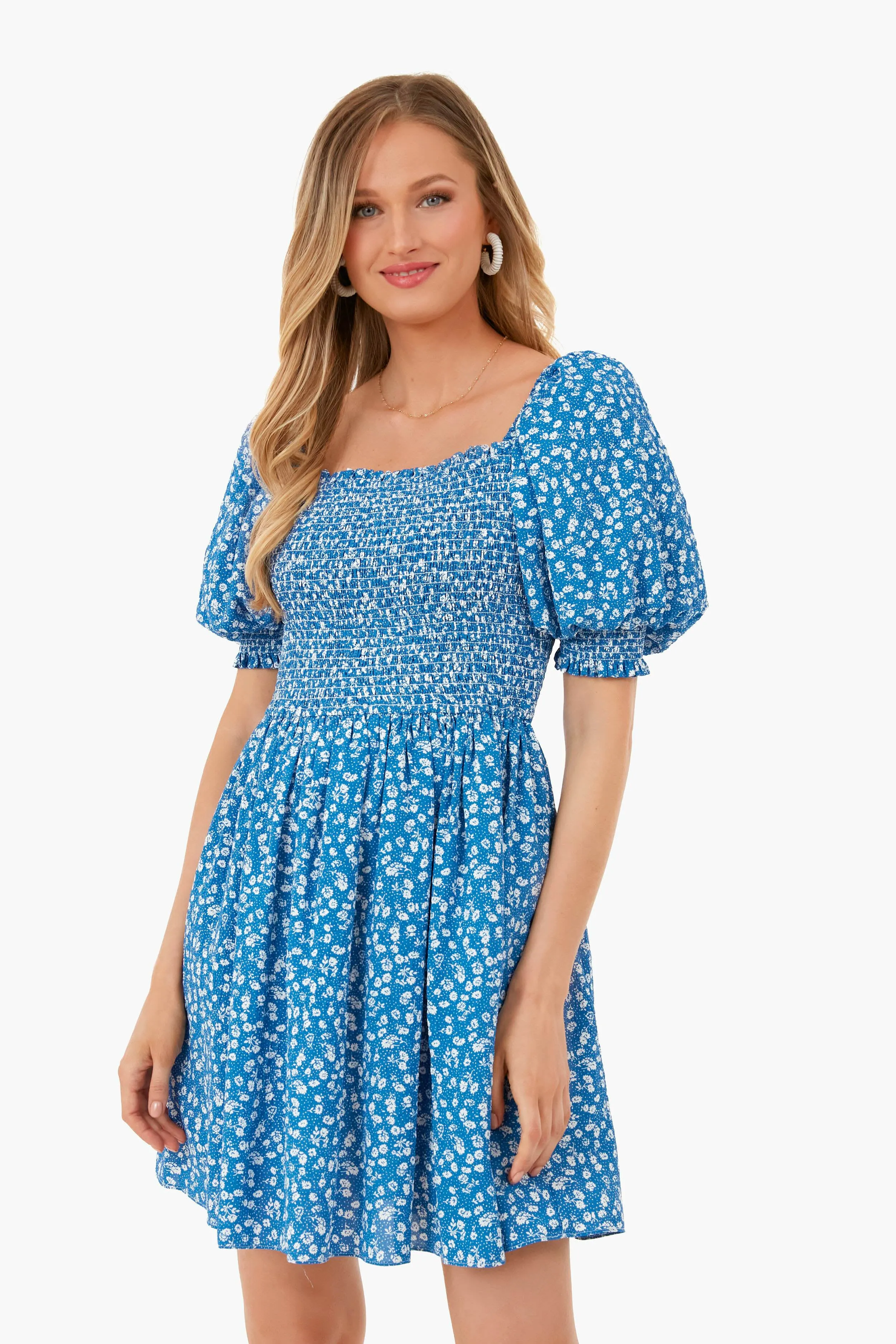 Blue Ditsy Floral Pai Mini Dress sold by Tuckernuck product image thumbnail 2