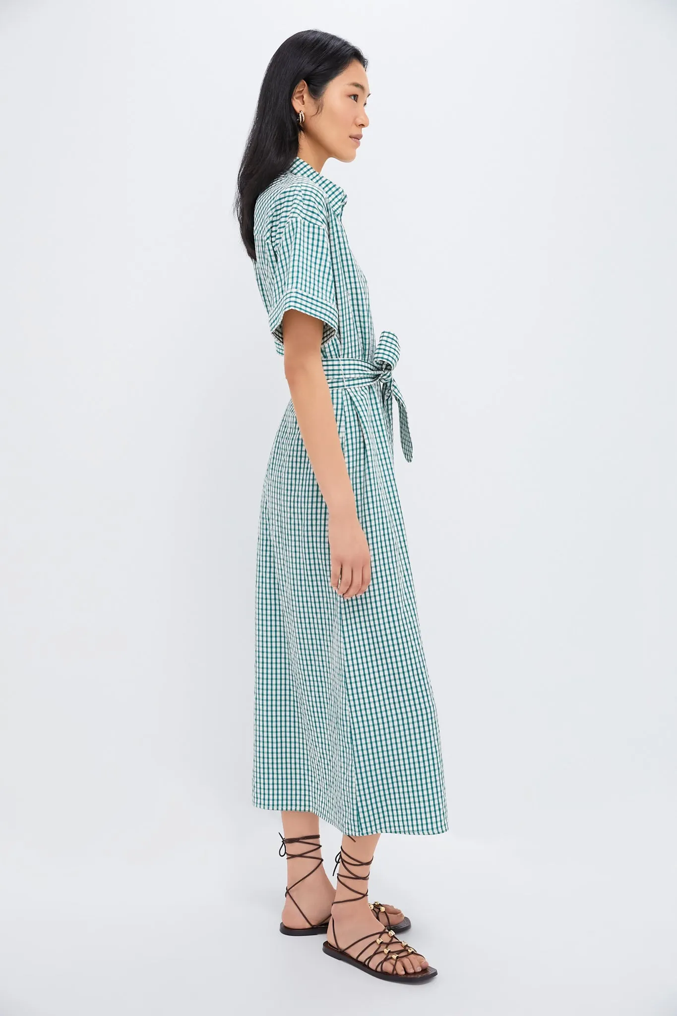 Green Gingham Seersucker Zacara Dress sold by Tuckernuck product image thumbnail 3