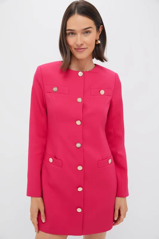 Strawberry Veronica Mini Dress made by Tuckernuck