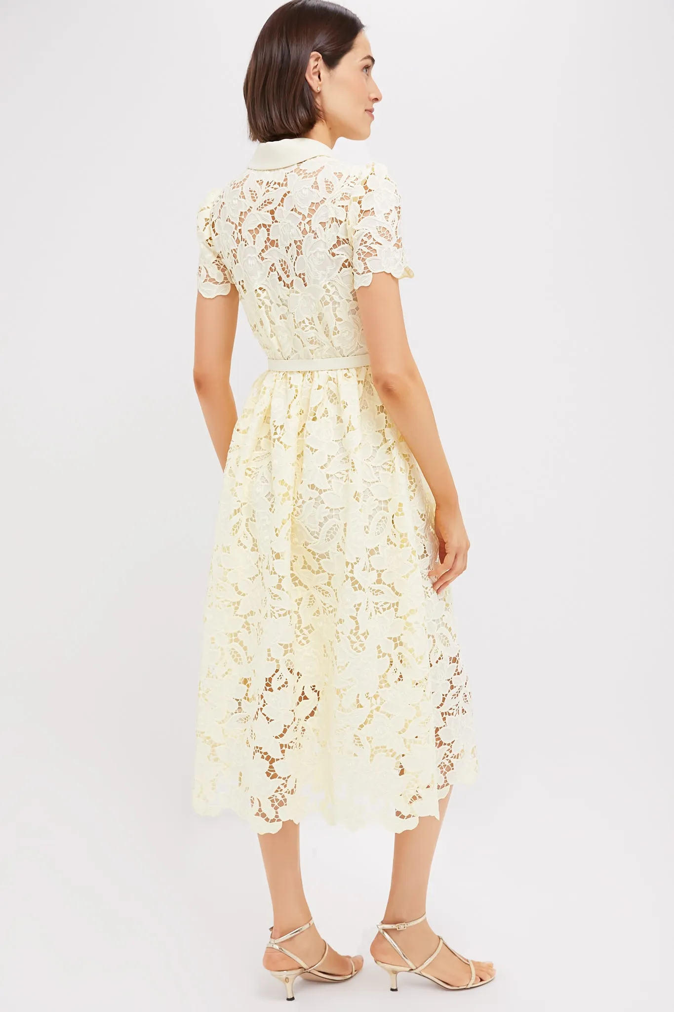 Yellow Lace Collared Midi Dress sold by Tuckernuck product image thumbnail 3