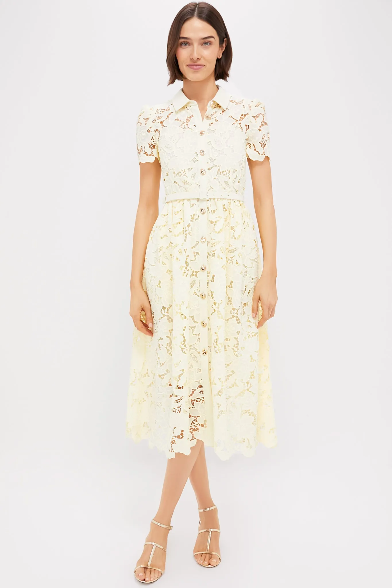 Yellow Lace Collared Midi Dress sold by Tuckernuck