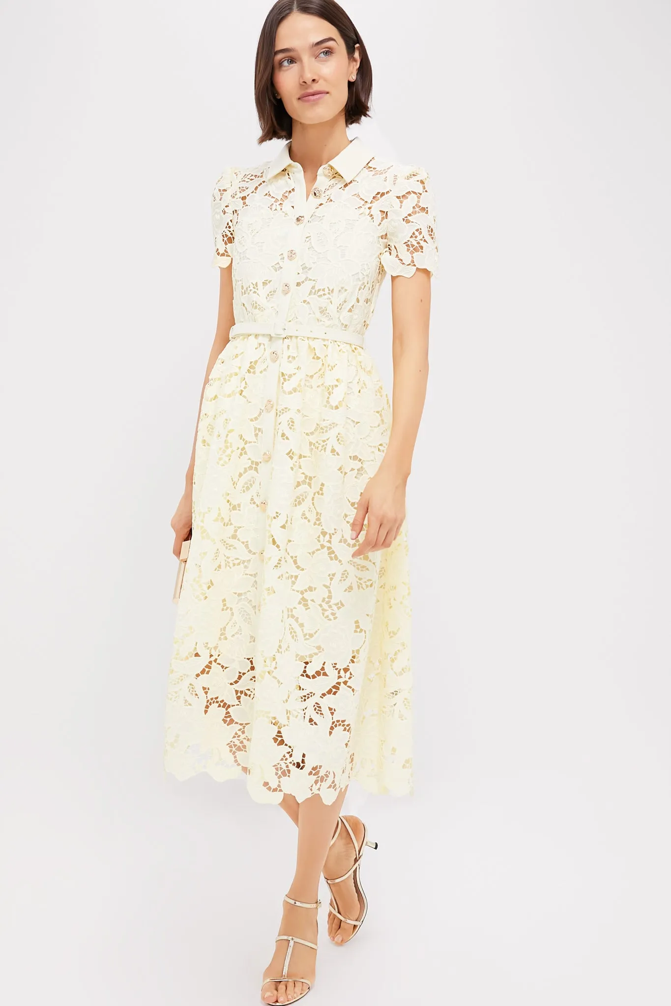 Yellow Lace Collared Midi Dress sold by Tuckernuck product image thumbnail 2