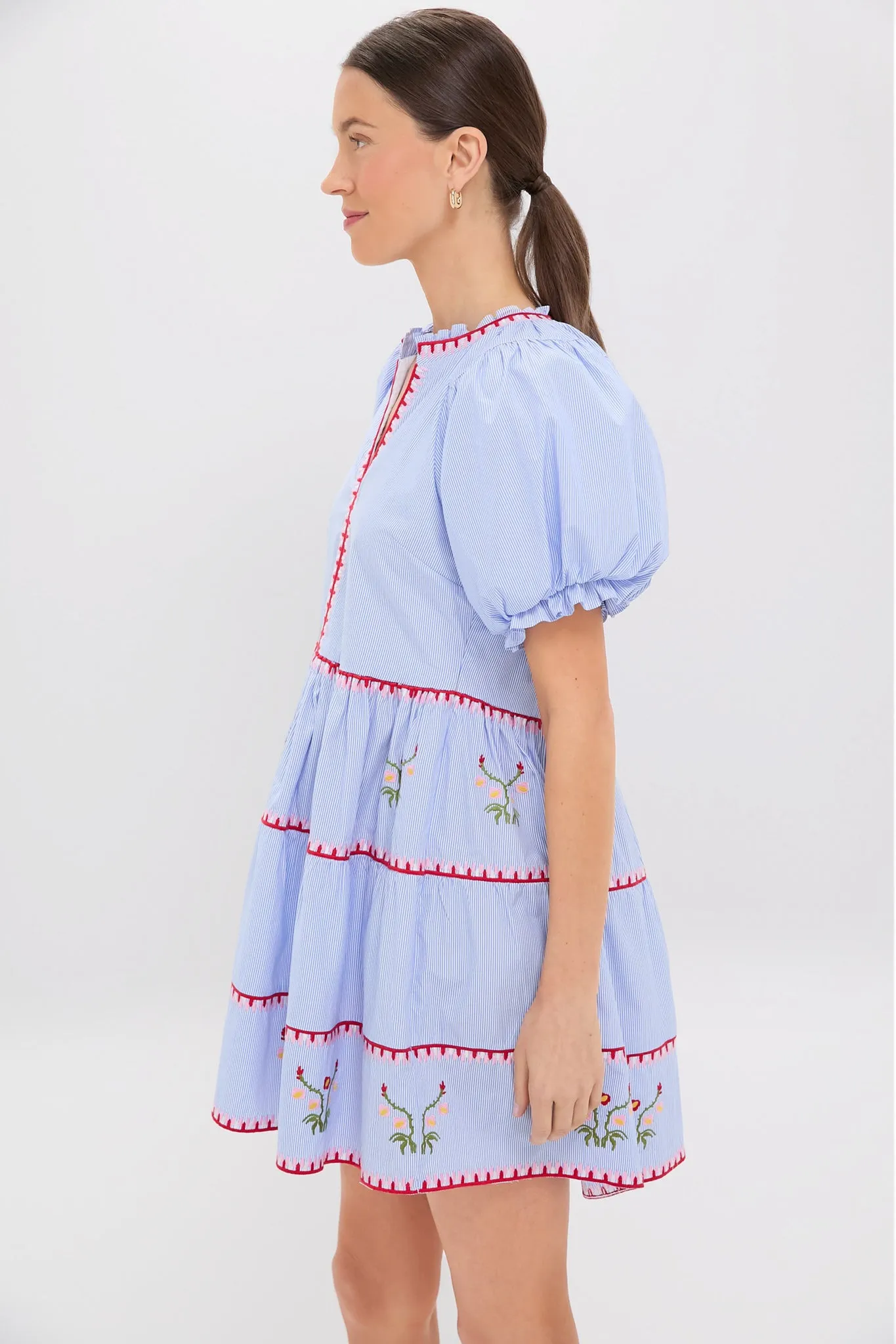 Blue Pinstripe Embroidered V-Neck Lillian Mini Dress sold by Tuckernuck product image thumbnail 3