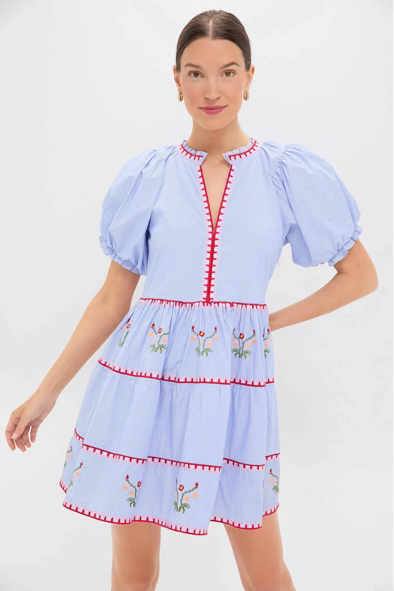 Blue Pinstripe Embroidered V-Neck Lillian Mini Dress sold by Tuckernuck