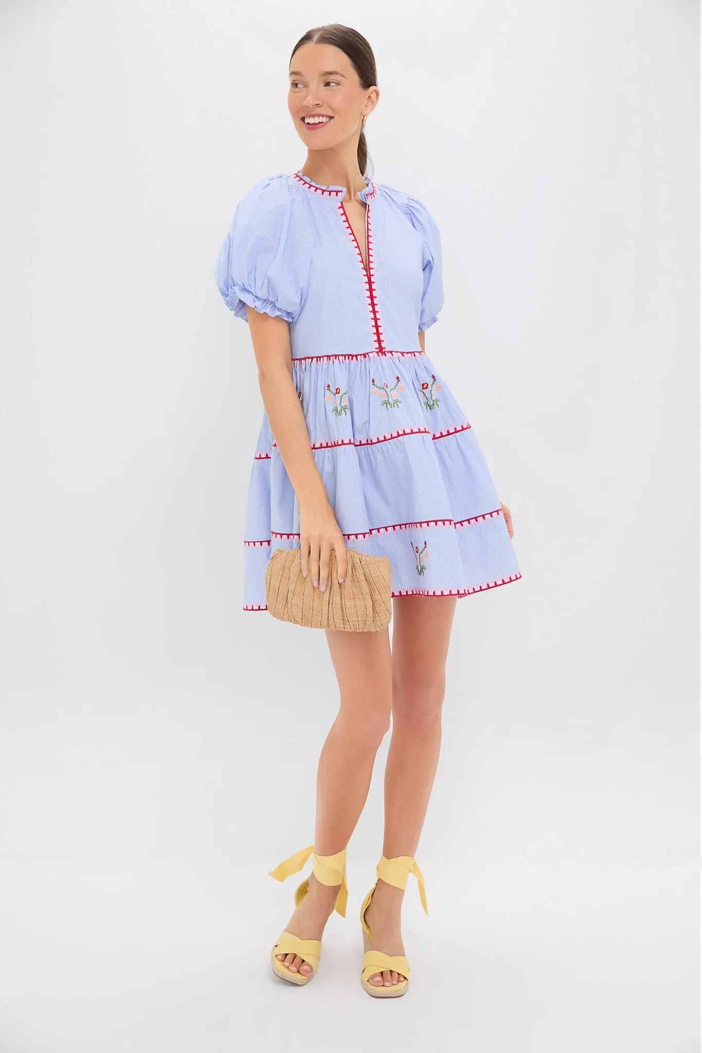 Blue Pinstripe Embroidered V-Neck Lillian Mini Dress sold by Tuckernuck product image thumbnail 2