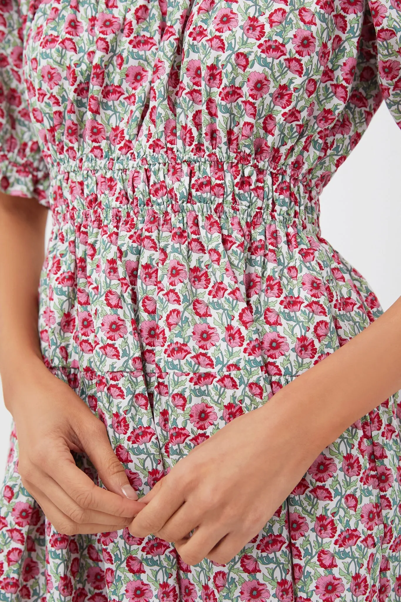 Red Dahlia Floral Dorothy Mini Dress sold by Tuckernuck product image thumbnail 5