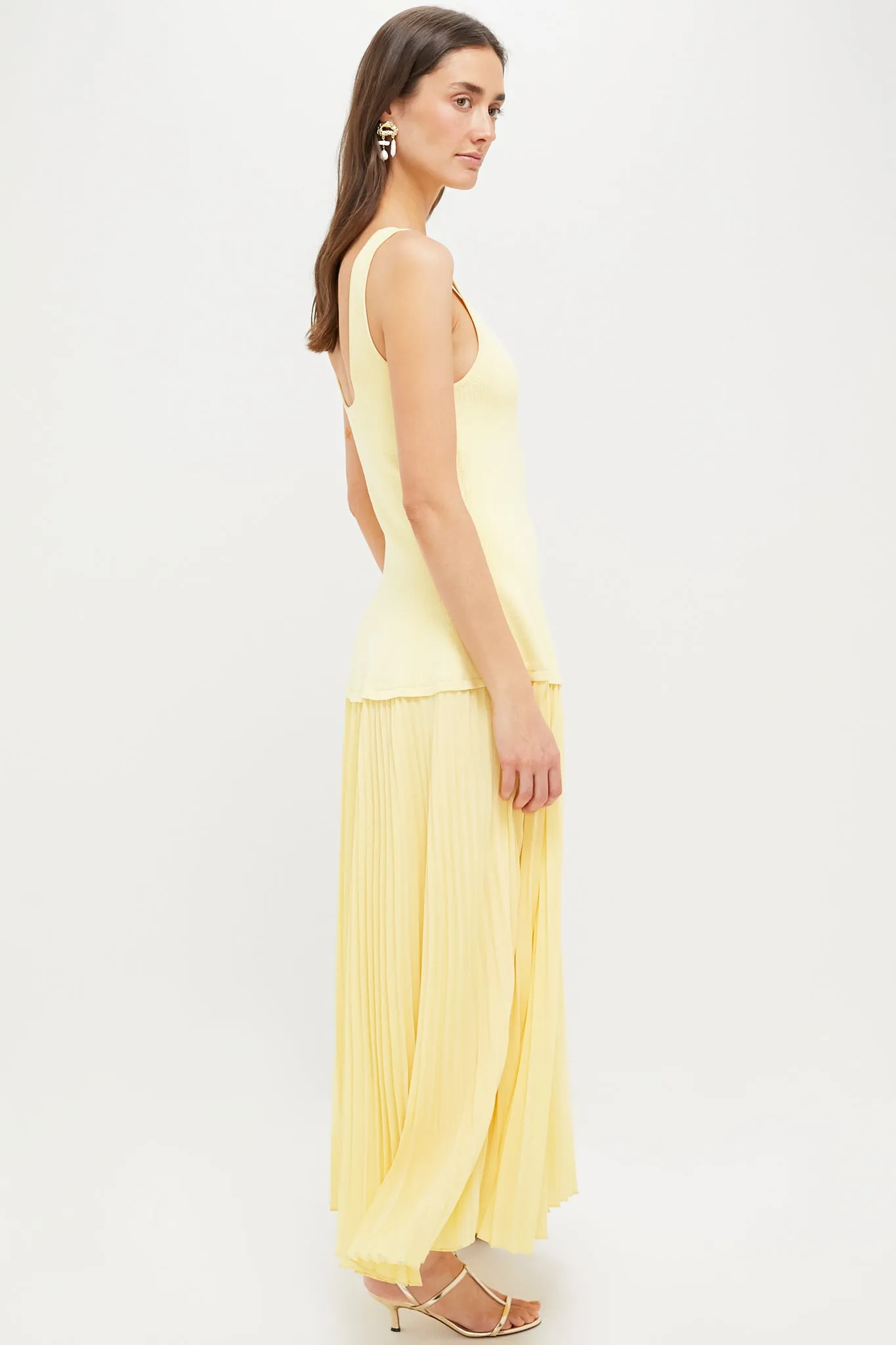Buttercream Allana Sleeveless Maxi Dress sold by Tuckernuck product image thumbnail 3