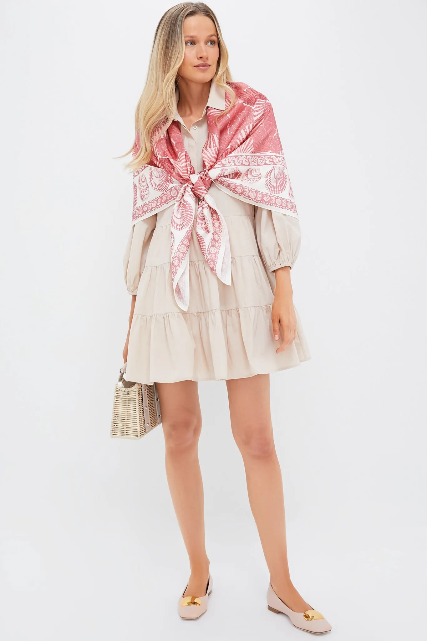 Sandstone Mabel Mini Dress sold by Tuckernuck product image thumbnail 2