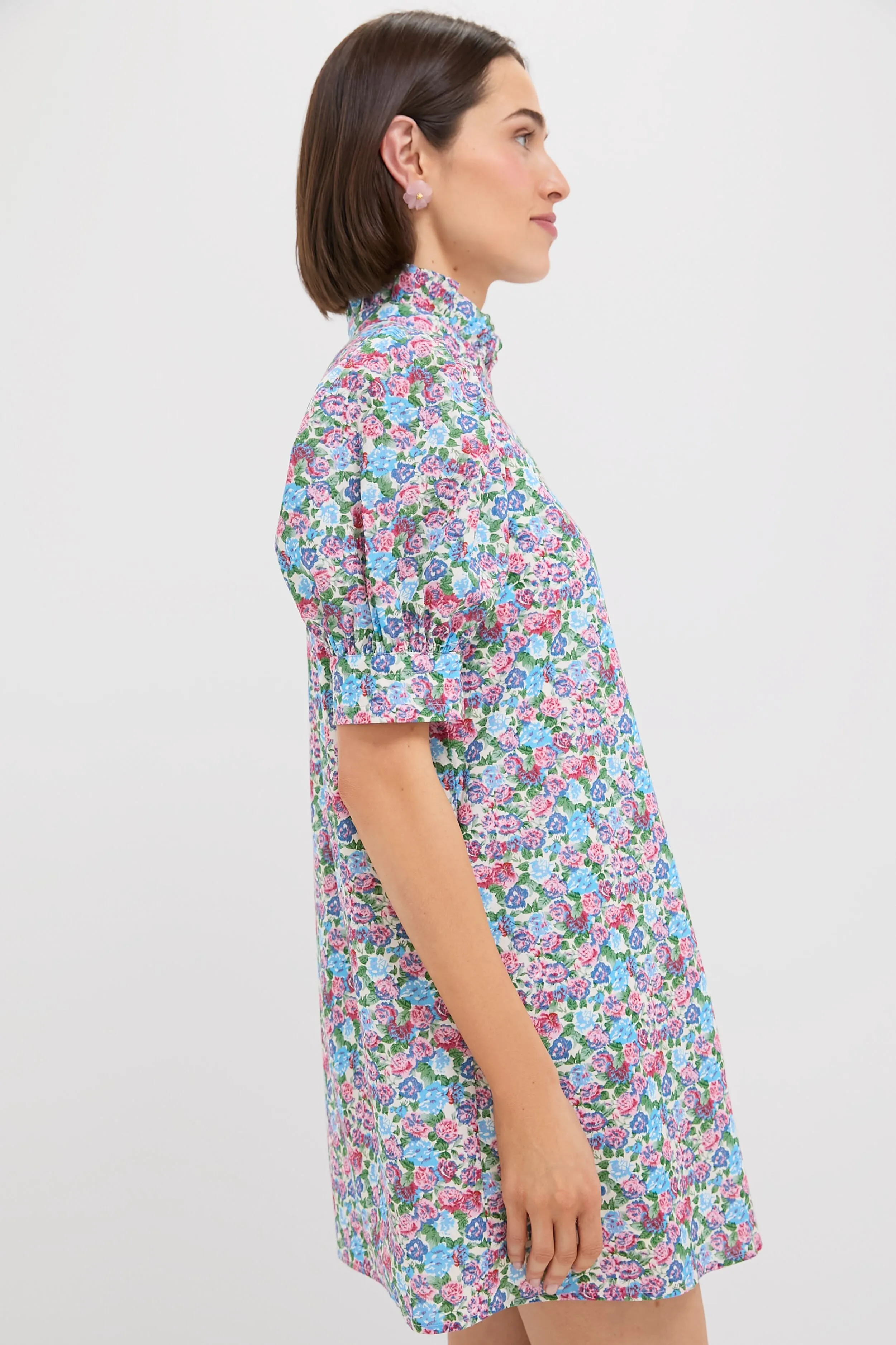 Multi Rose Floral Louisa Mini Dress sold by Tuckernuck product image thumbnail 4