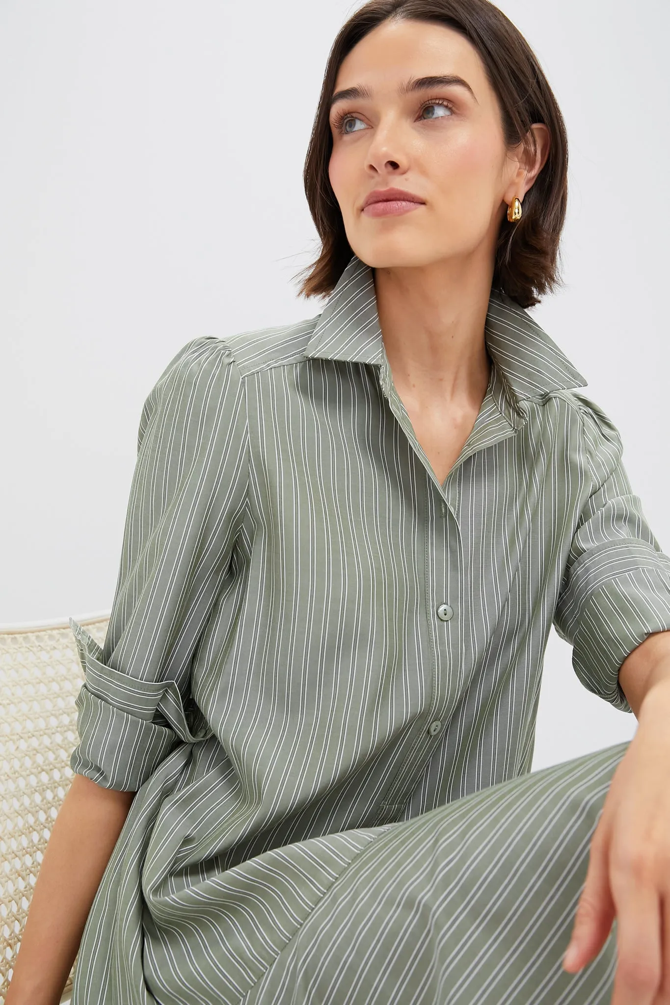Green Stripe Callahan Shirt Dress sold by Tuckernuck product image thumbnail 5