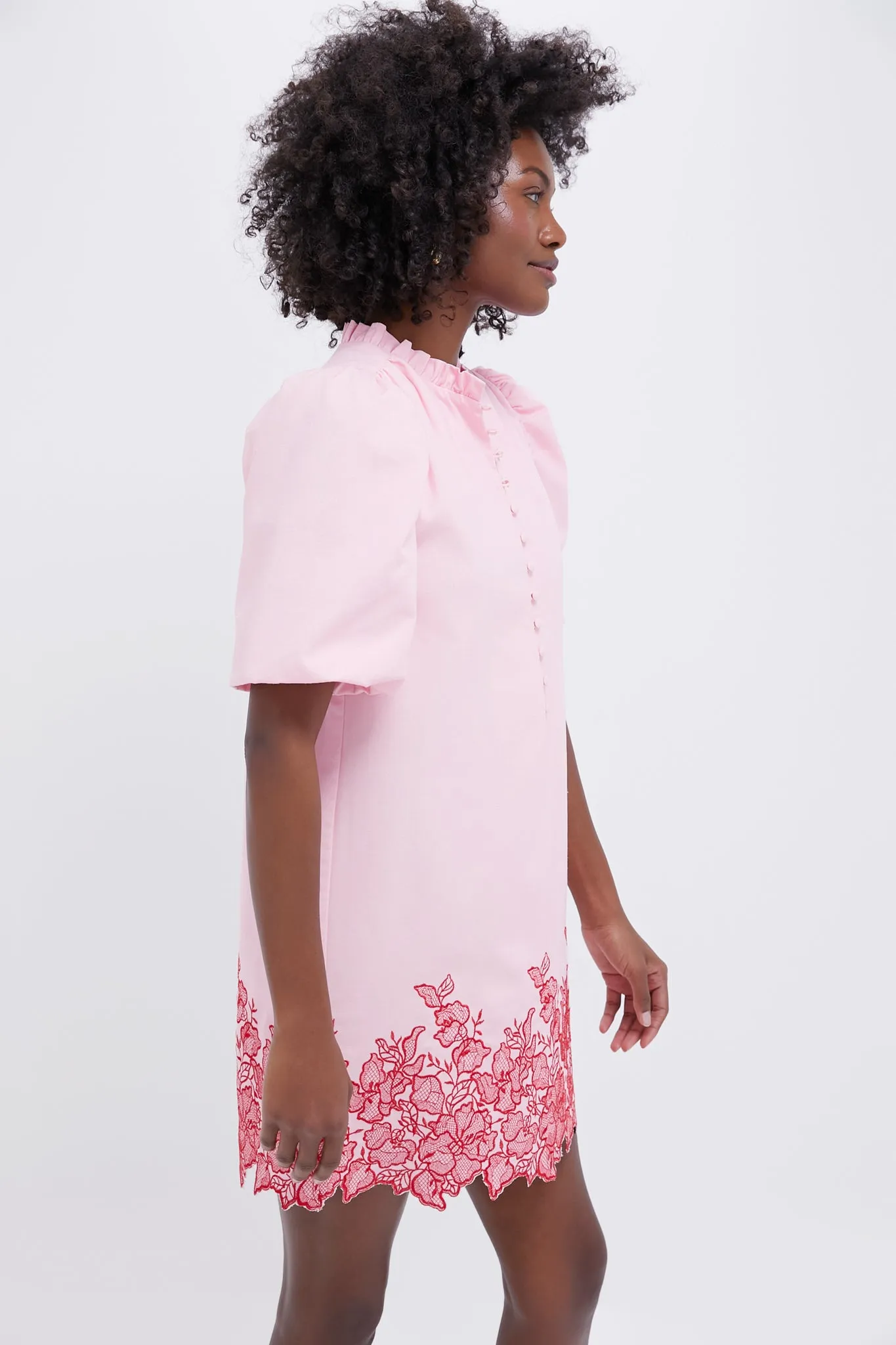 Pink & Red Embroidered Mimi Mini Dress sold by Tuckernuck product image thumbnail 4