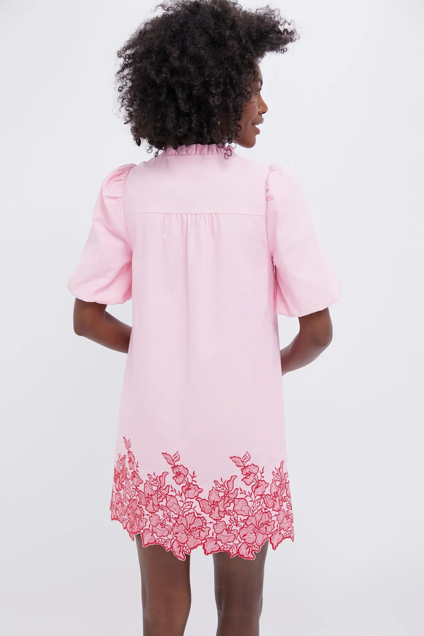 Pink & Red Embroidered Mimi Mini Dress sold by Tuckernuck product image thumbnail 5