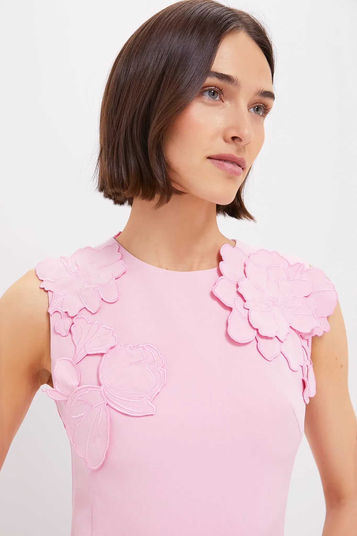 Flamingo Cleo Applique Dress sold by Tuckernuck product image thumbnail 2