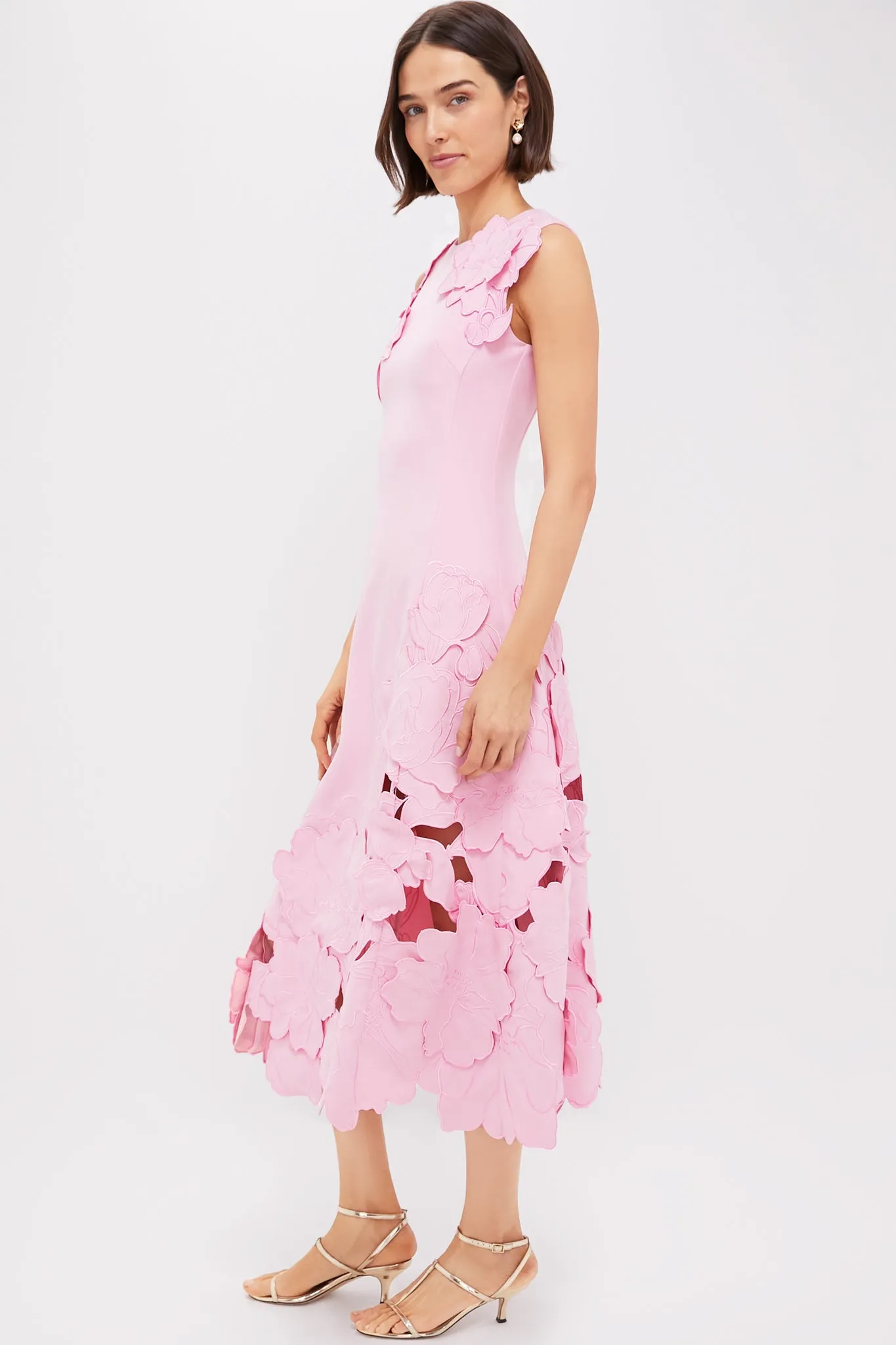 Flamingo Cleo Applique Dress sold by Tuckernuck product image thumbnail 3