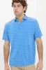 Blue Poppy Crown Comfort Ross Stripe Polo sold by Tuckernuck