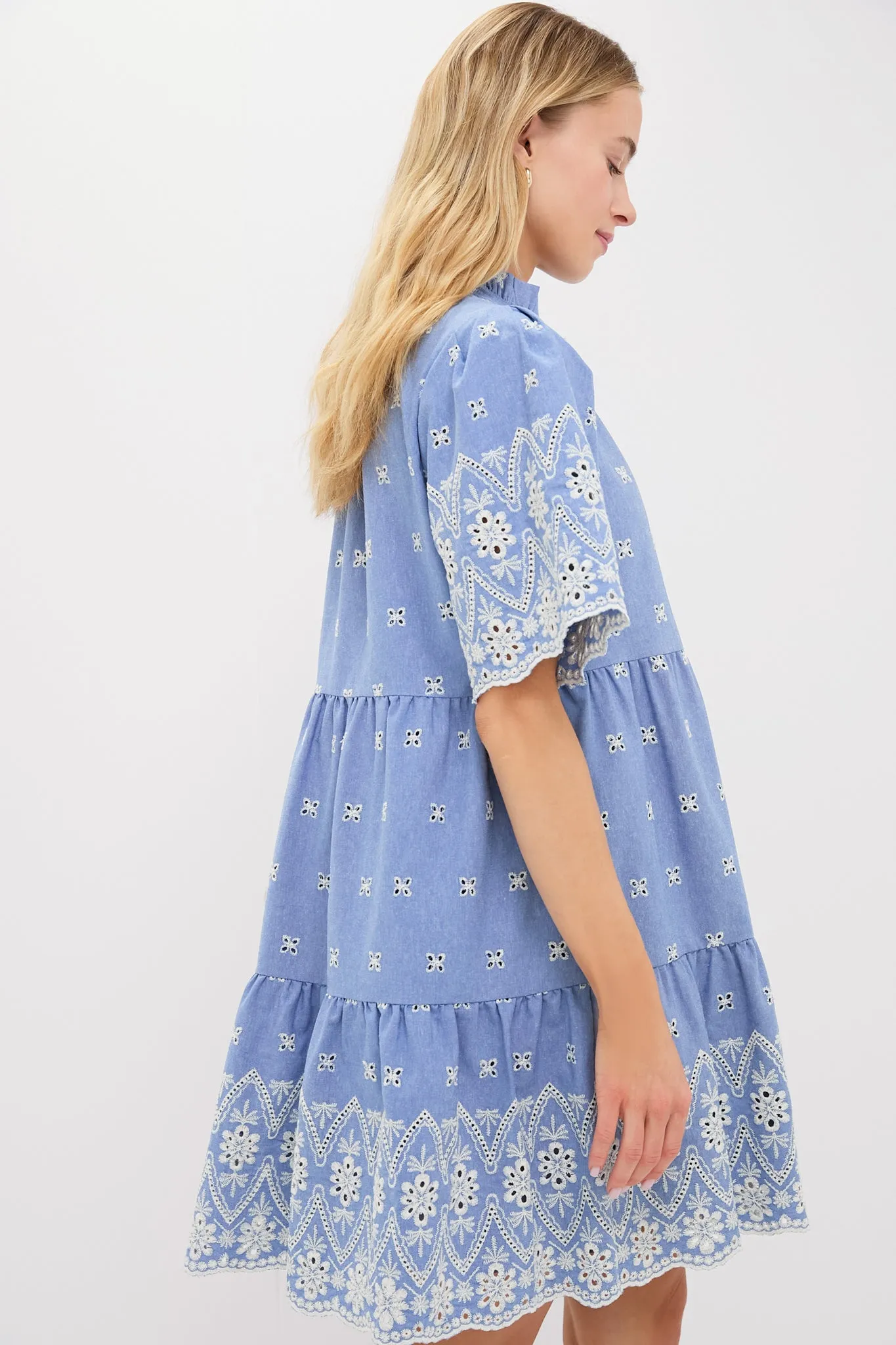 Chambray Embroidered Crawford Dress sold by Tuckernuck product image thumbnail 4