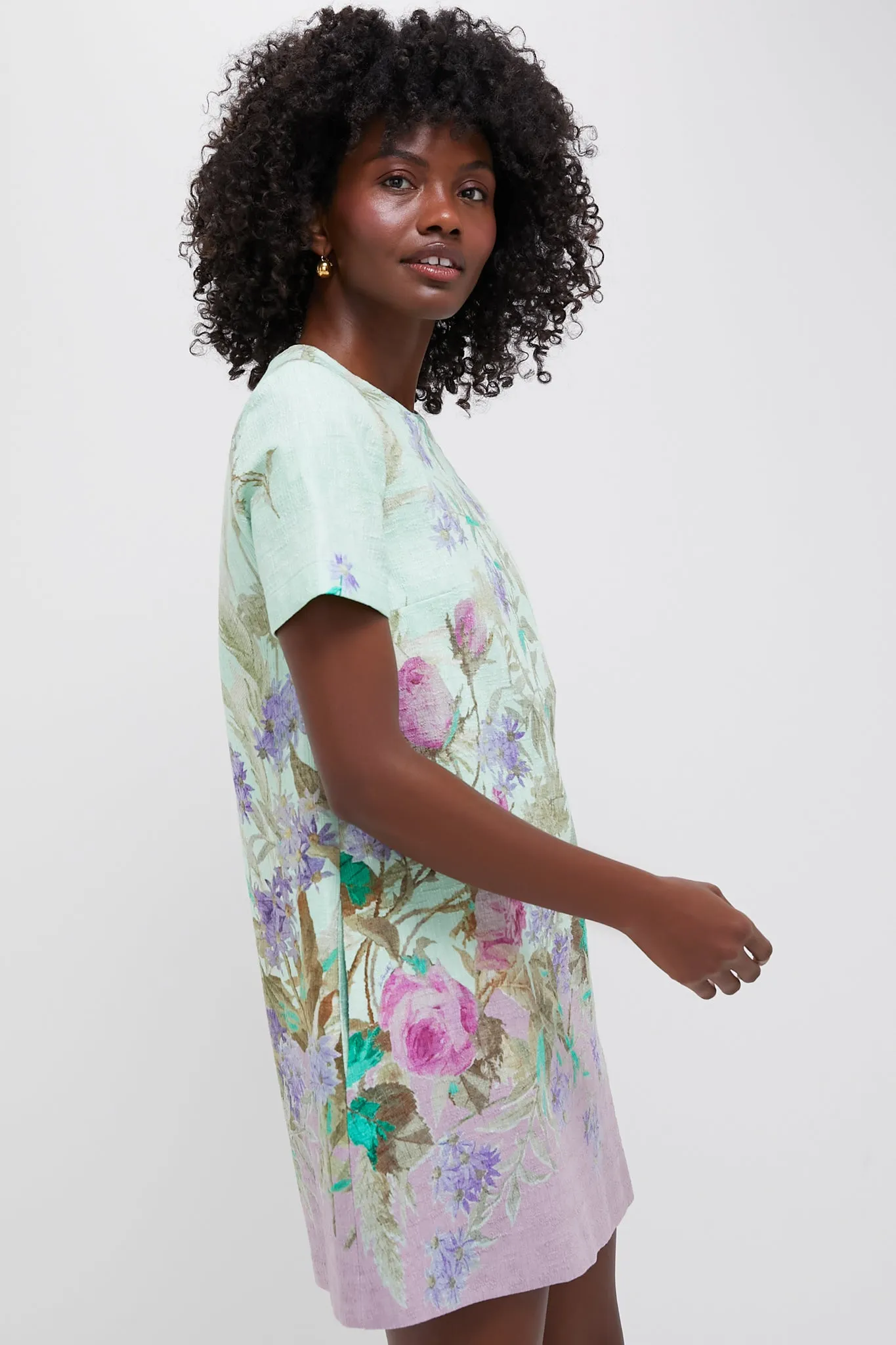 Heath Placee Mini Swing Dress sold by Tuckernuck product image thumbnail 3