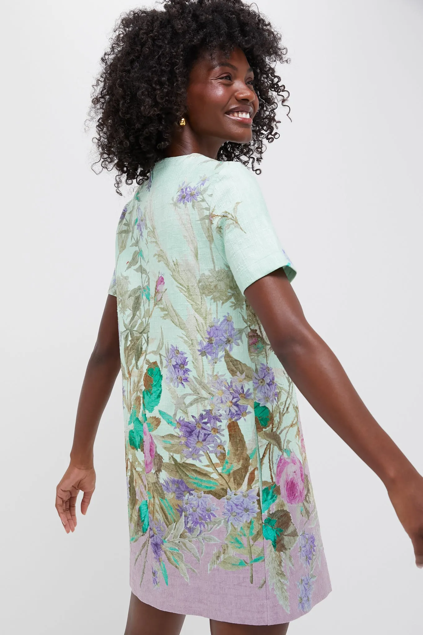 Heath Placee Mini Swing Dress sold by Tuckernuck product image thumbnail 4