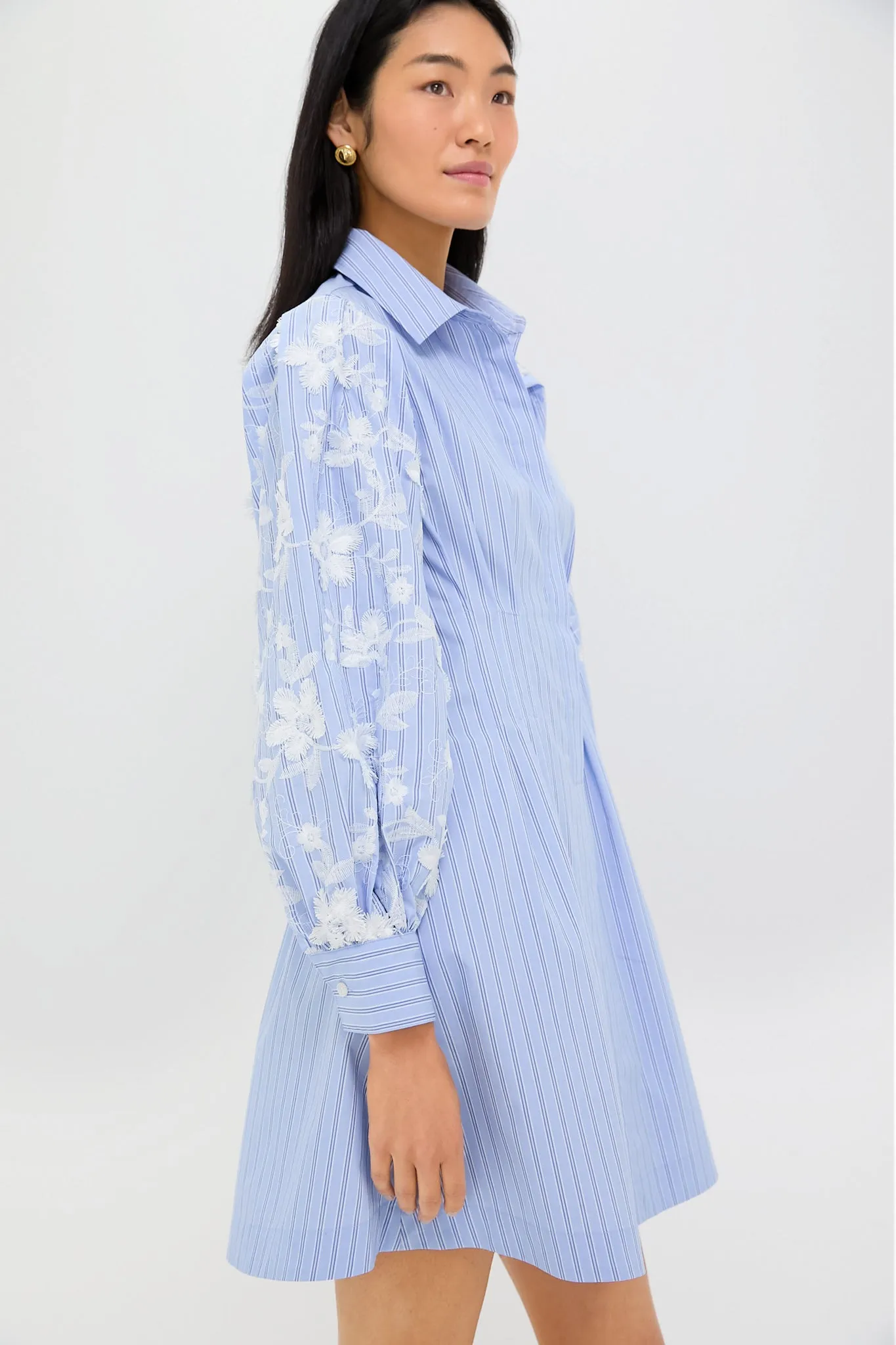 Blue Stripe Embroidery Mini Corinne Dress sold by Tuckernuck product image thumbnail 3