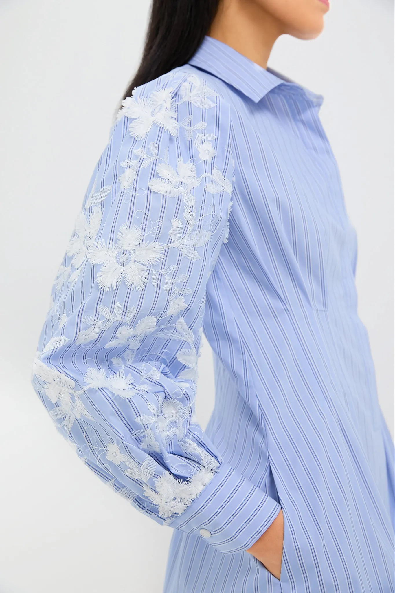 Blue Stripe Embroidery Mini Corinne Dress sold by Tuckernuck product image thumbnail 5