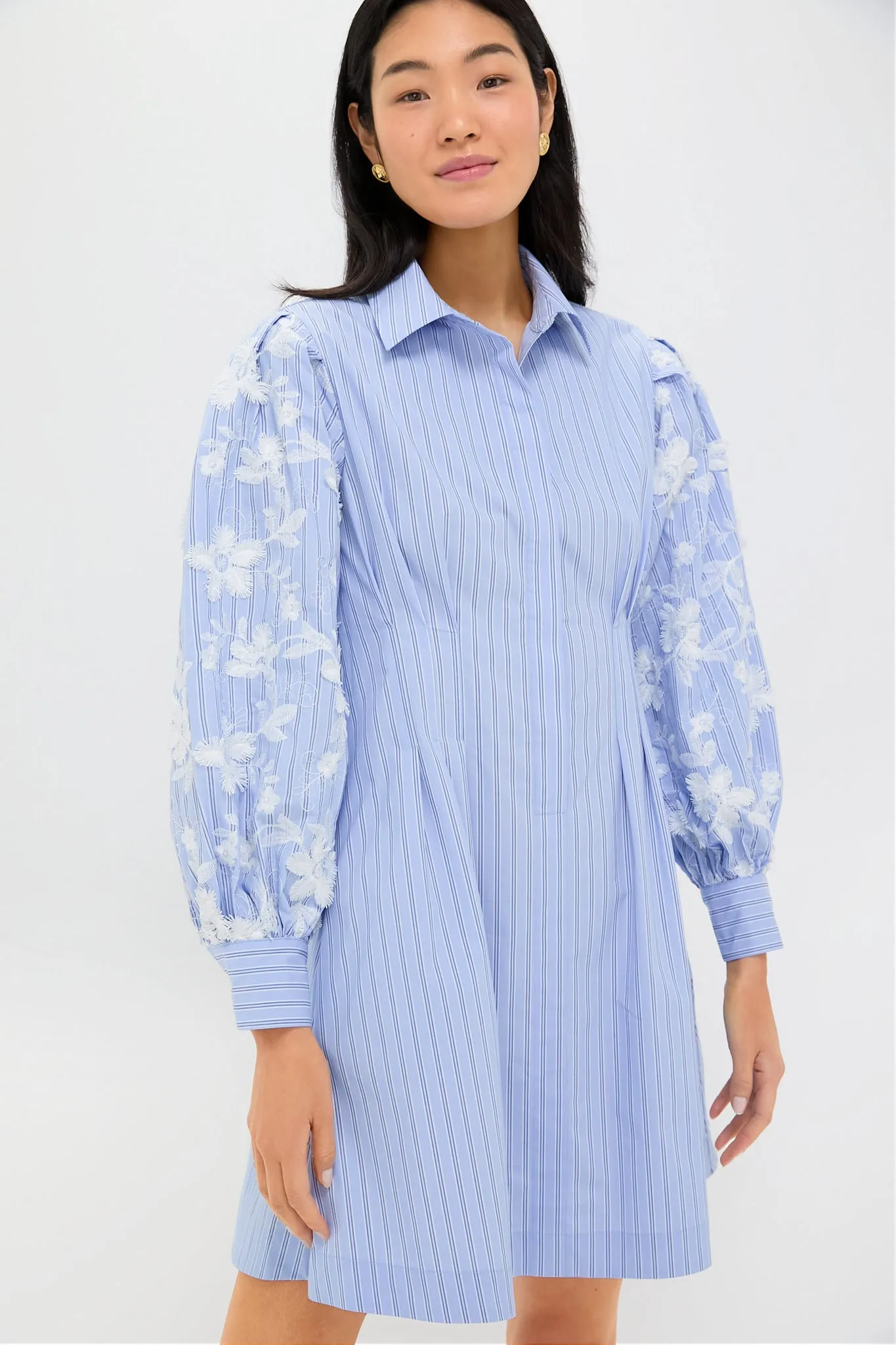 Blue Stripe Embroidery Mini Corinne Dress sold by Tuckernuck product image thumbnail 2