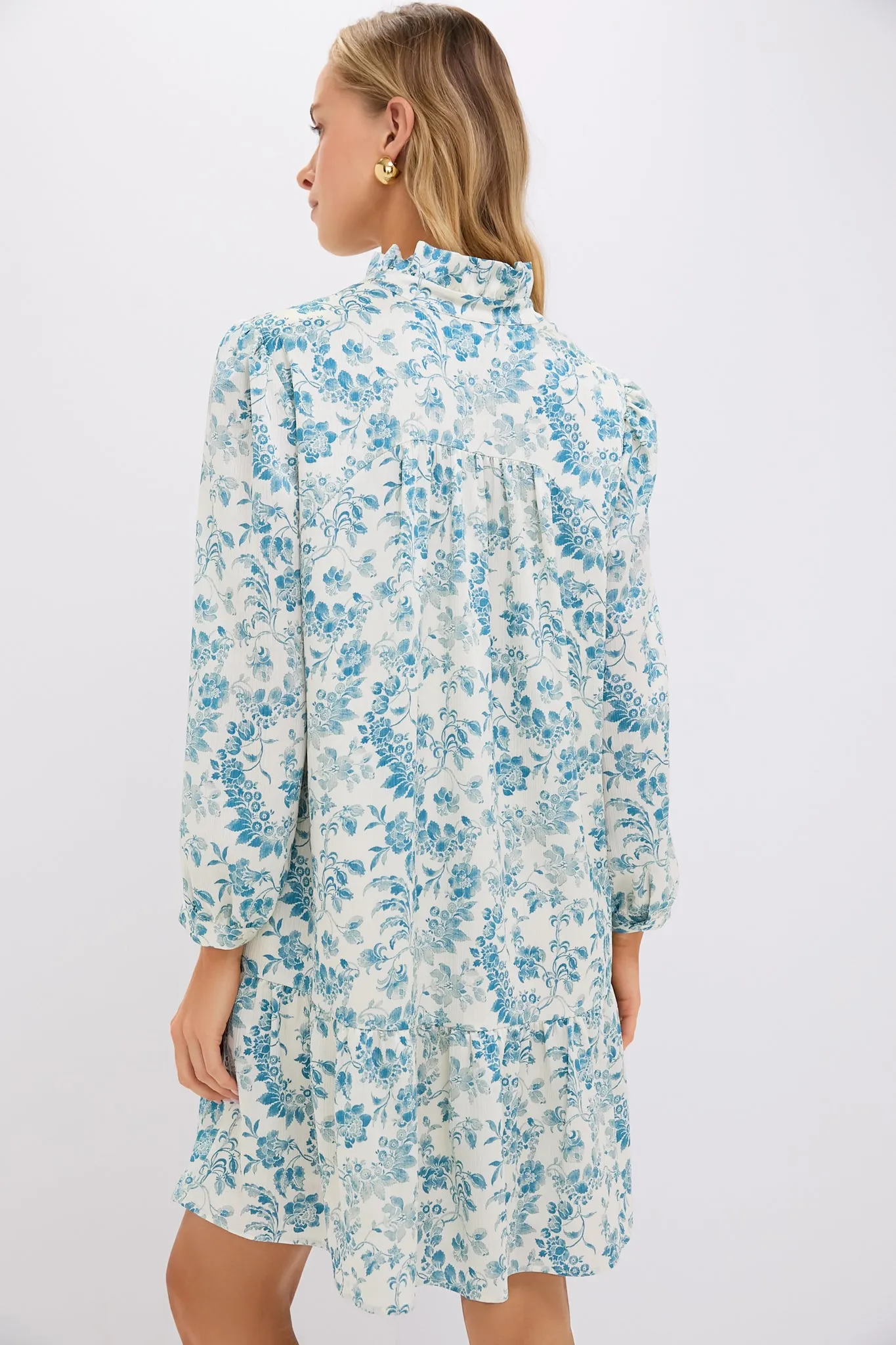 Jardin De Fleurs Crinkle Palmerston Dress sold by Tuckernuck product image thumbnail 4