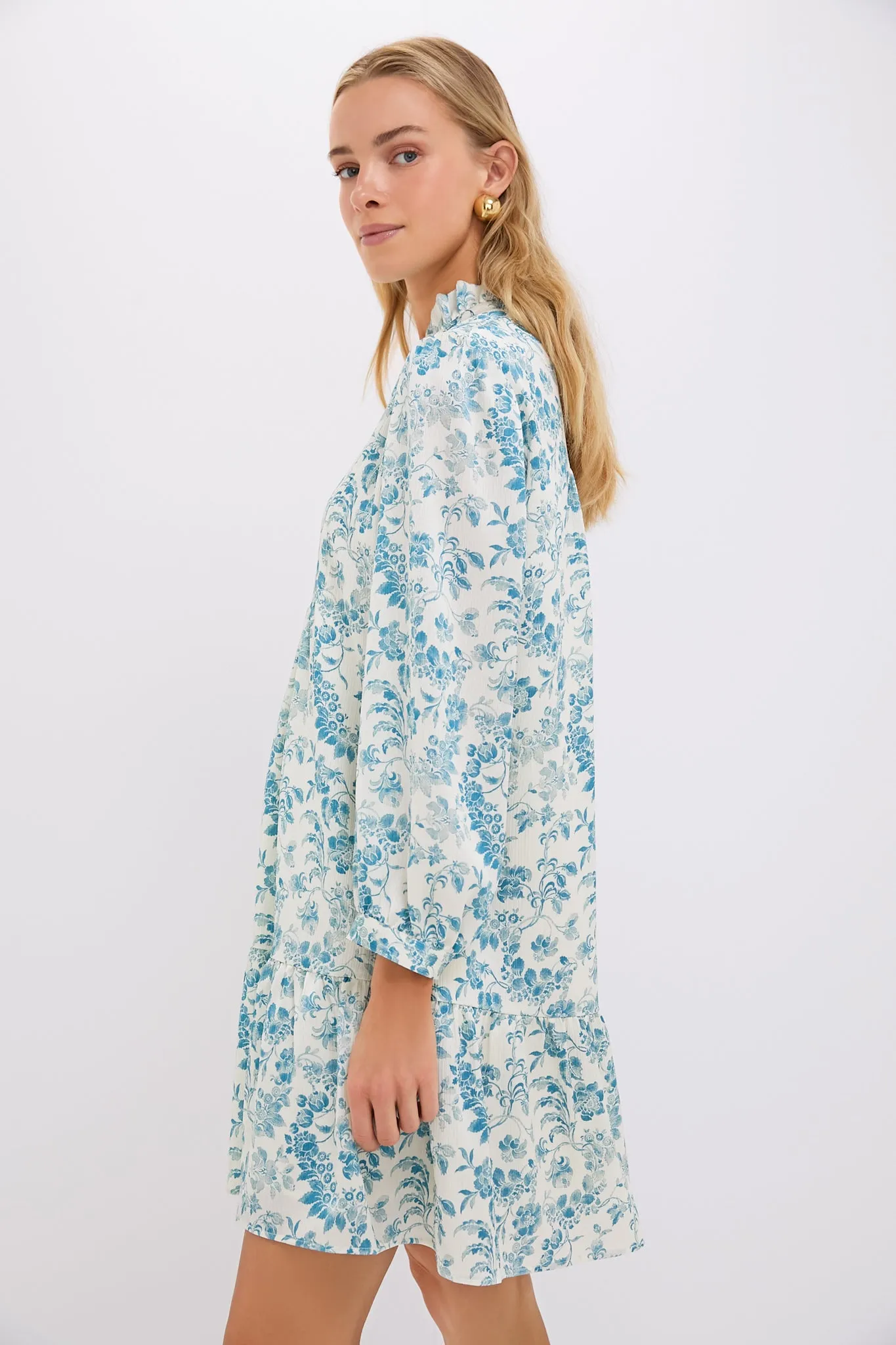 Jardin De Fleurs Crinkle Palmerston Dress sold by Tuckernuck product image thumbnail 3