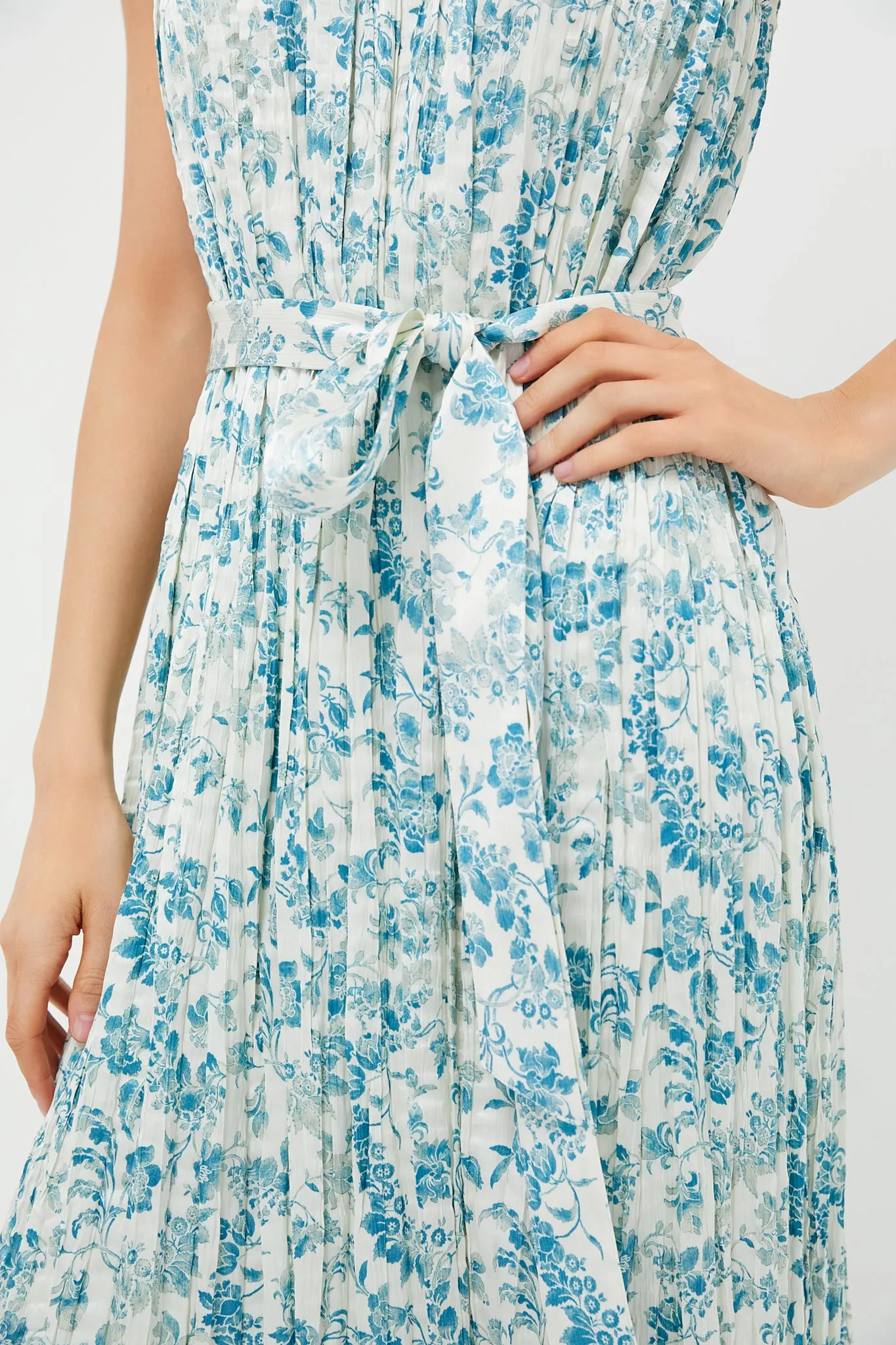 Jardin De Fleurs Plisse Crinkle Alina Dress sold by Tuckernuck product image thumbnail 5