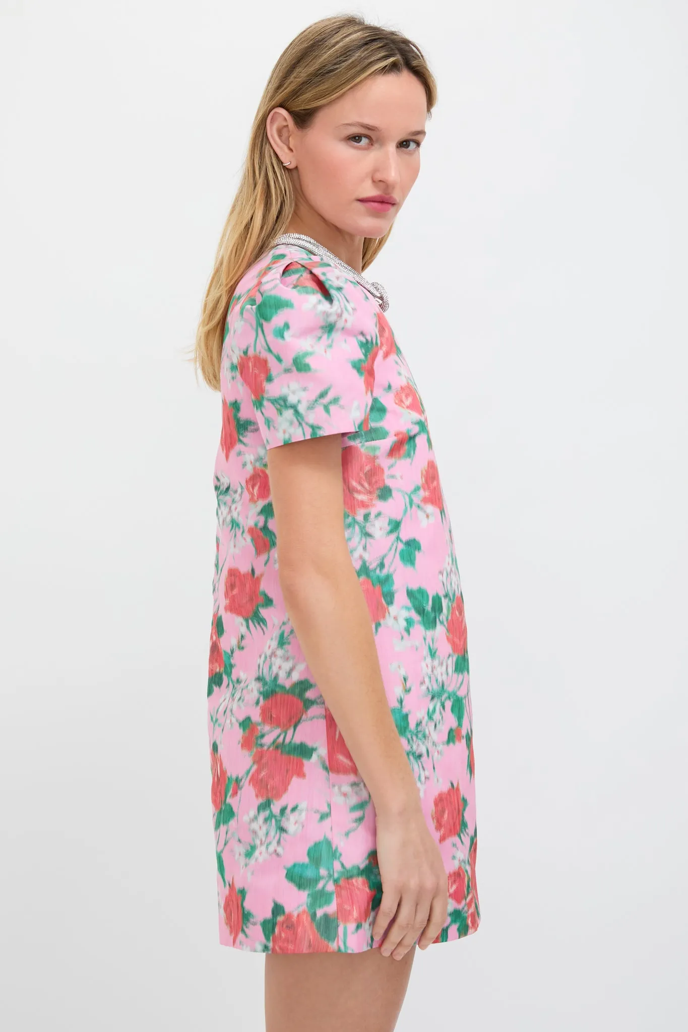 Rose Rosetta Taffeta Dress sold by Tuckernuck product image thumbnail 3