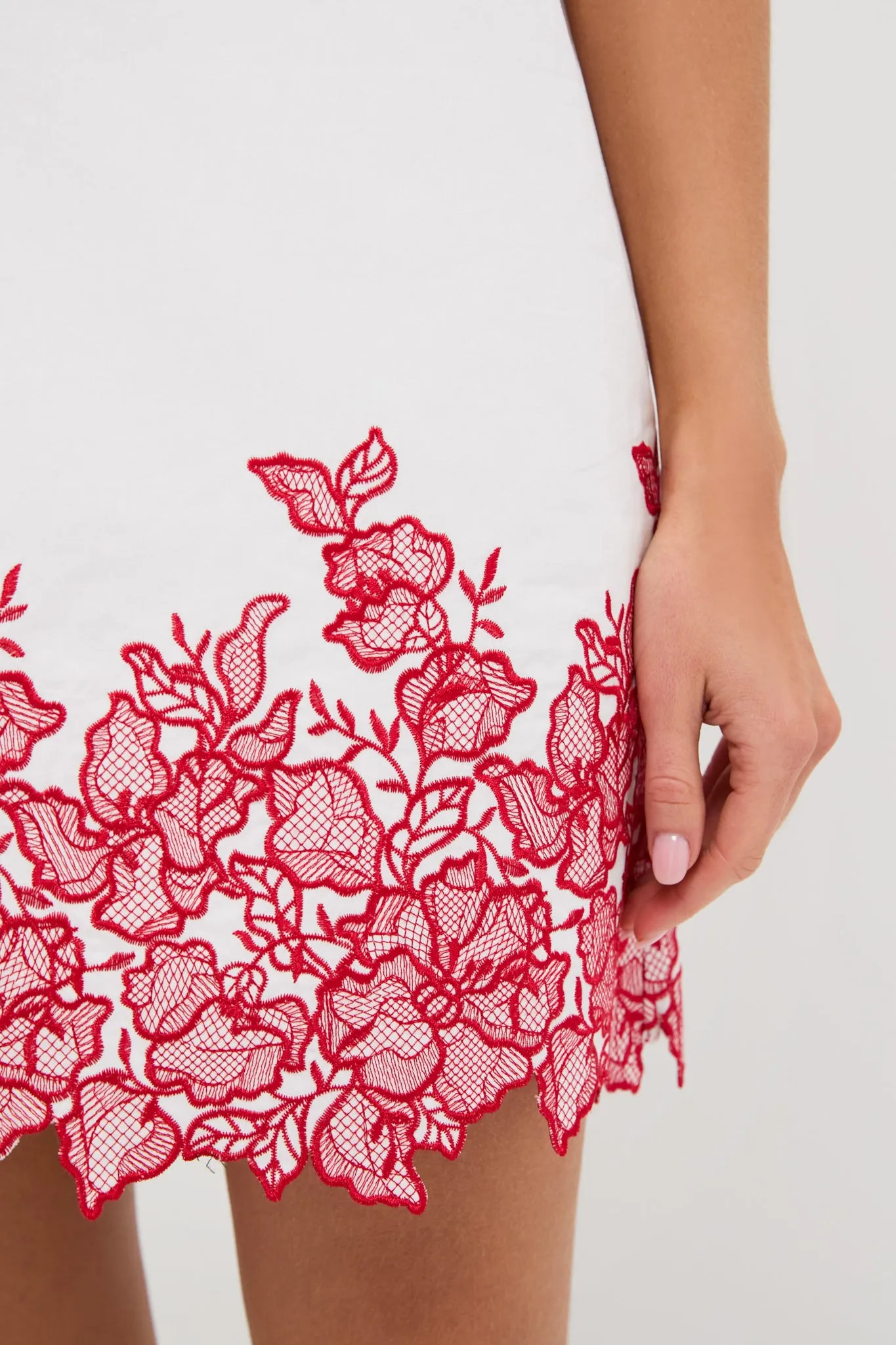 White & Red Embroidery Eliza Mini Dress sold by Tuckernuck product image thumbnail 5