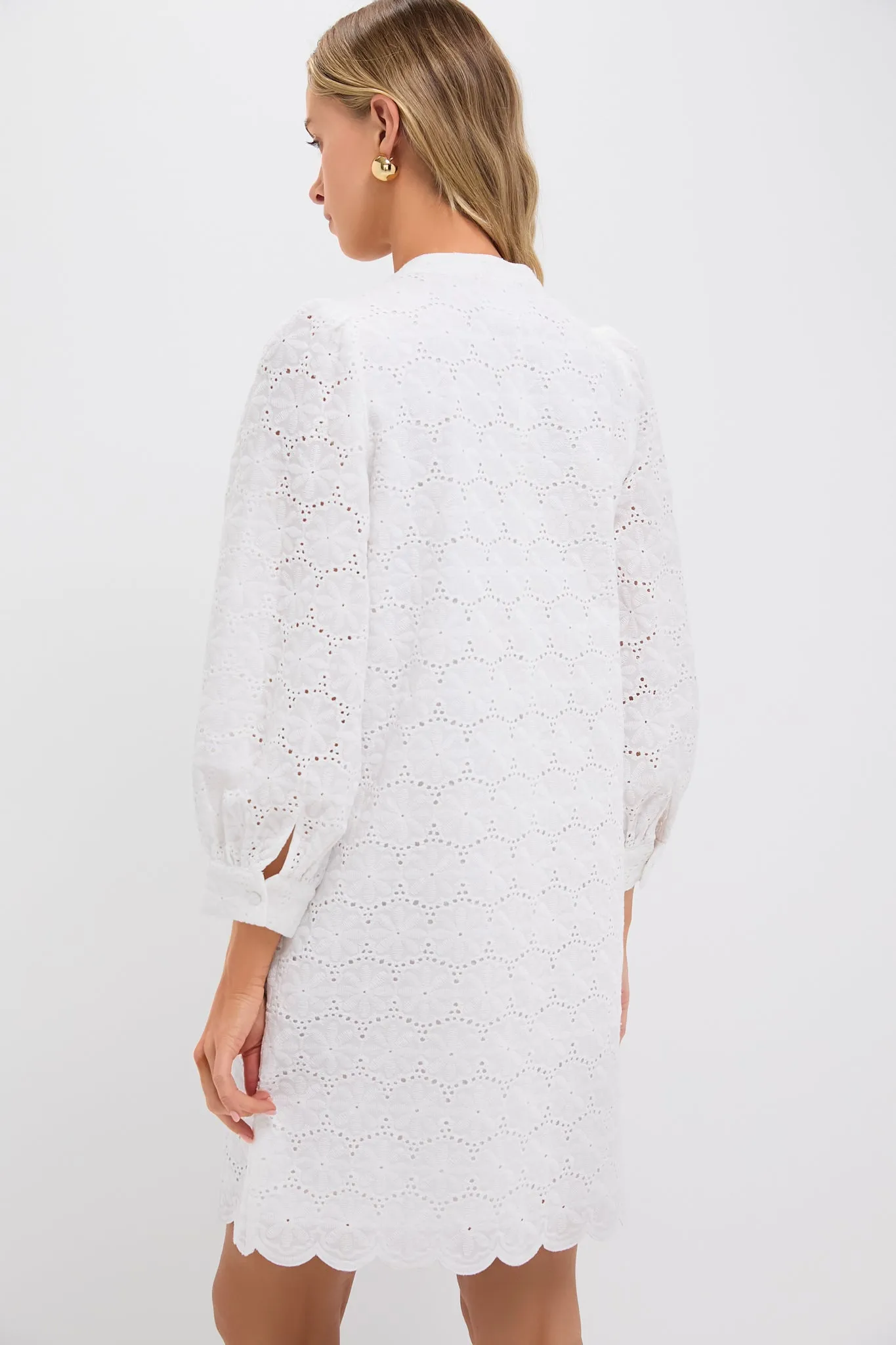 White Eyelet Samantha Dress sold by Tuckernuck product image thumbnail 4