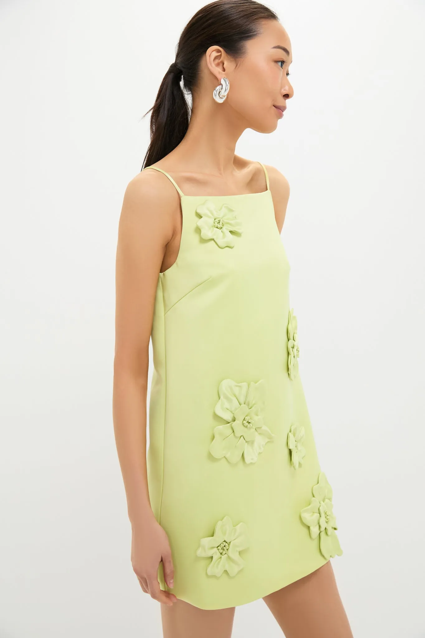 Chartreuse Leia Petal Mini Dress sold by Tuckernuck product image thumbnail 3