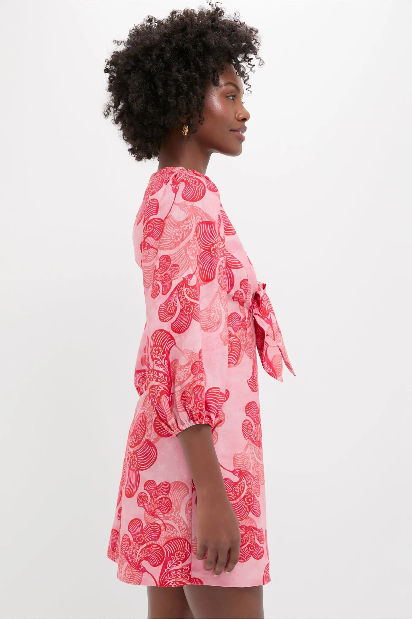 Riviera Mini Dress sold by Tuckernuck product image thumbnail 3