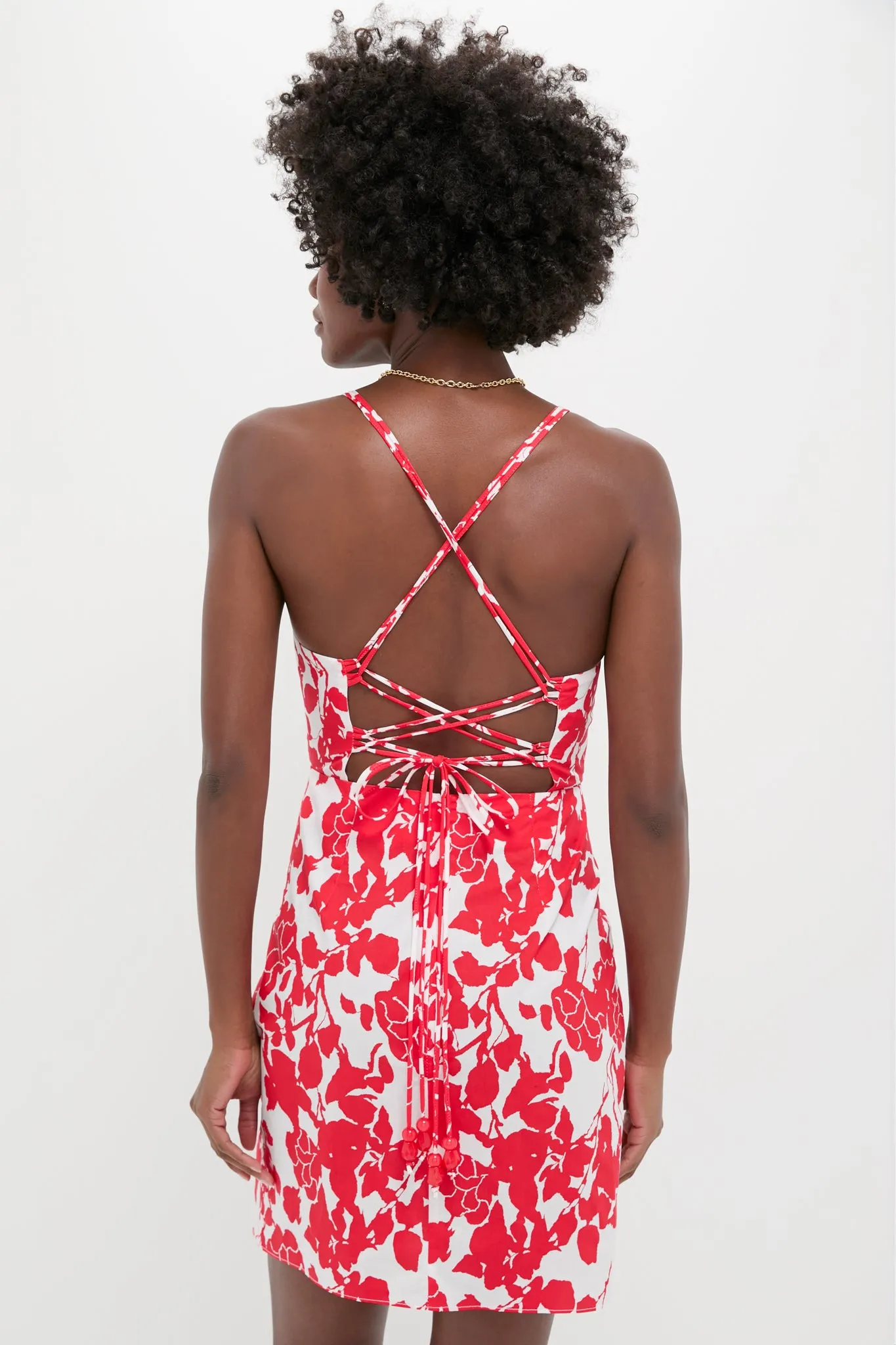 Red Floral Robbie Mini Dress sold by Tuckernuck product image thumbnail 4